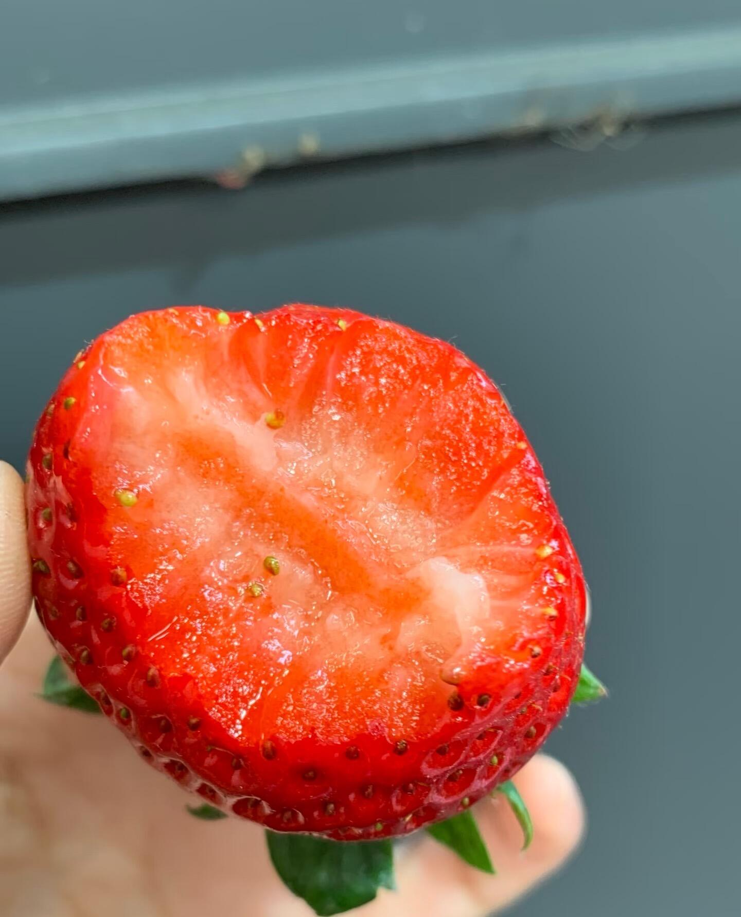 冬天一定是草莓味的🌈今日红颜草莓🍓大颗粒 配图1