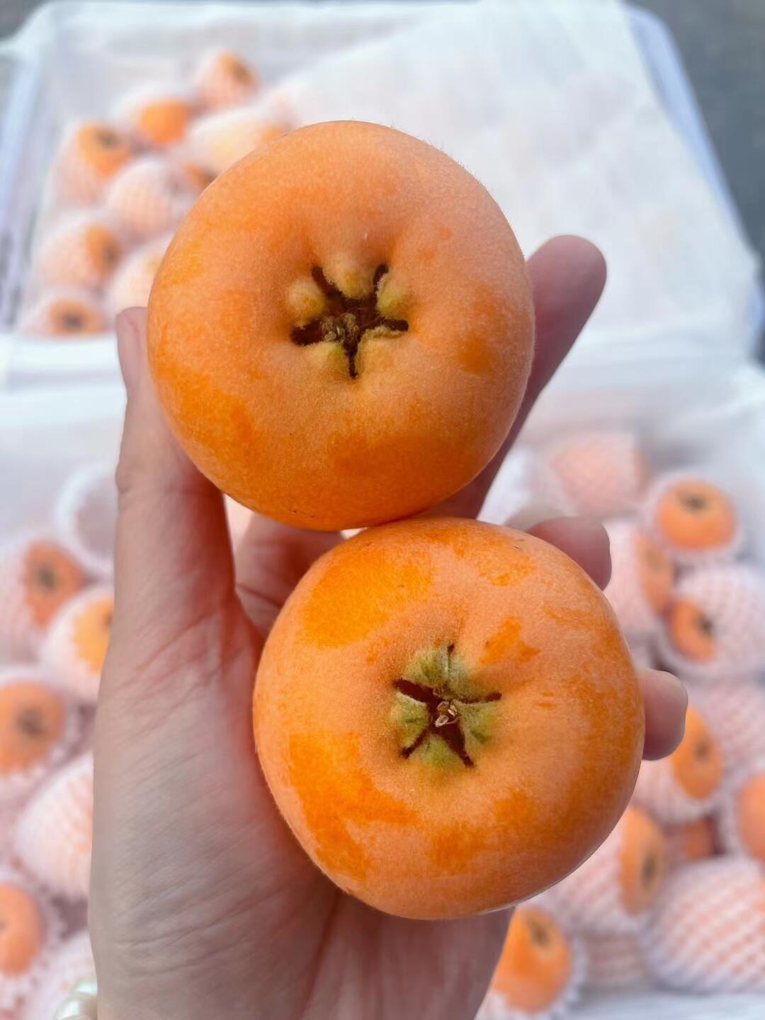 枇杷，是双润的味道🧡 快来抢占这第一口甜 配图3