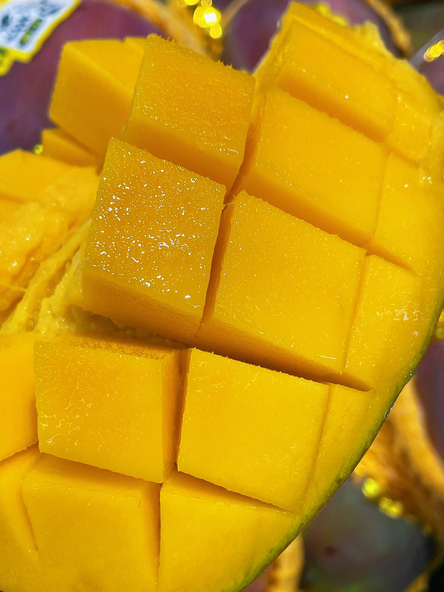 🌻『凯特芒🥭』 硕大的体型极具安全感💪  配图1
