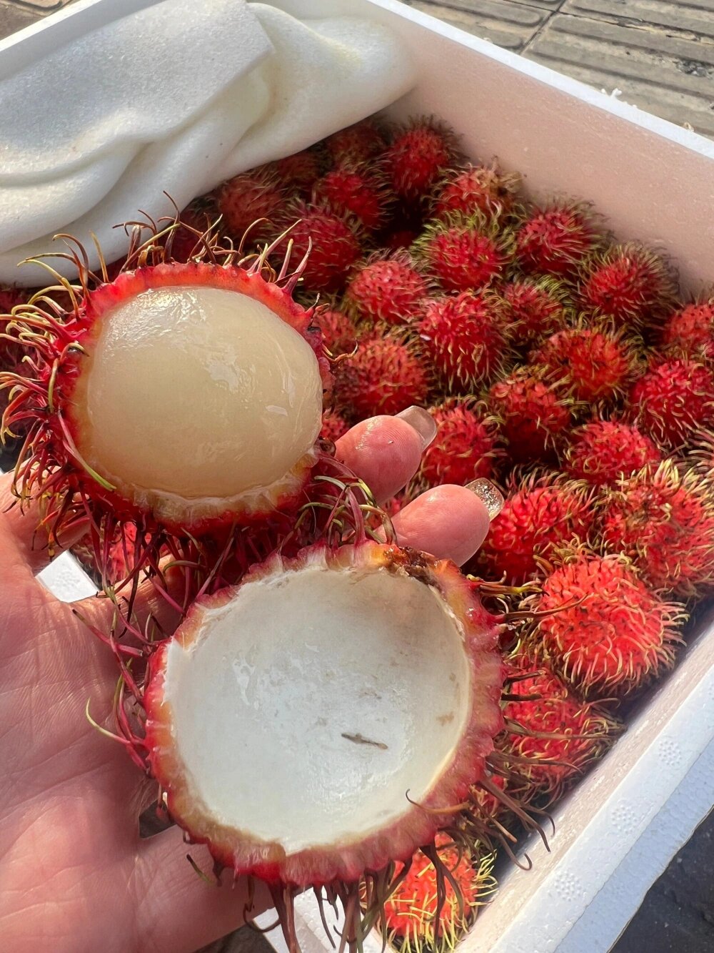 🌱🌱春天你好😘愿一切美好，都如约而至～  配图2