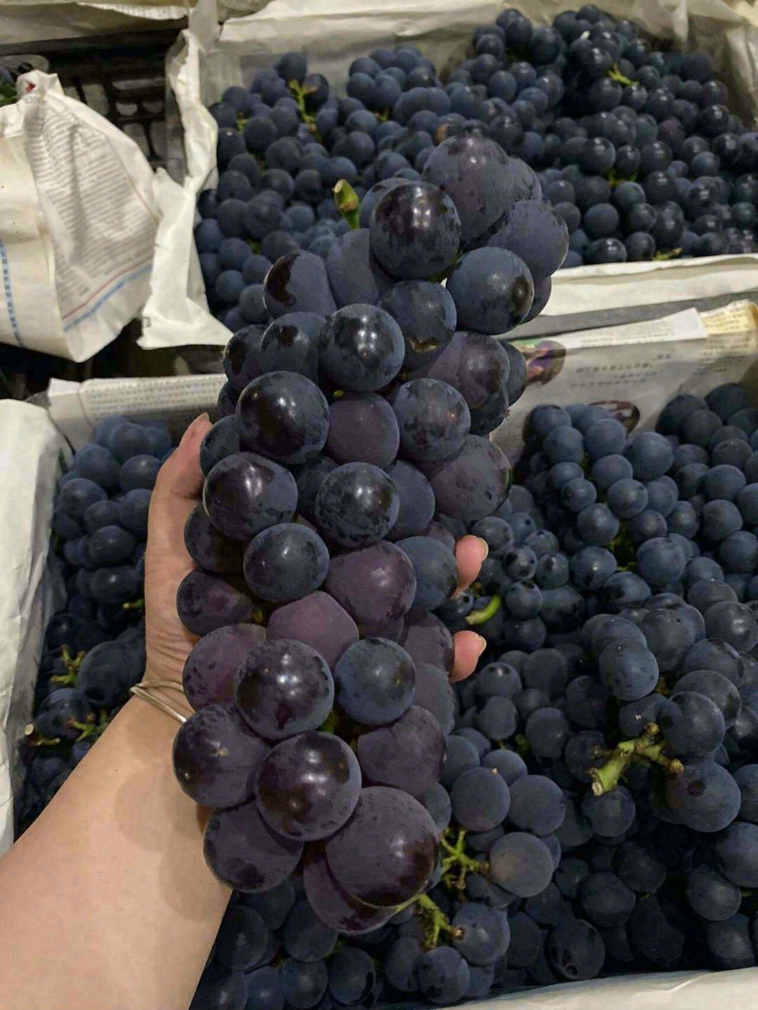新鲜巨峰葡萄到货啦👉🍇 颗颗饱满泛着蓝紫 配图2