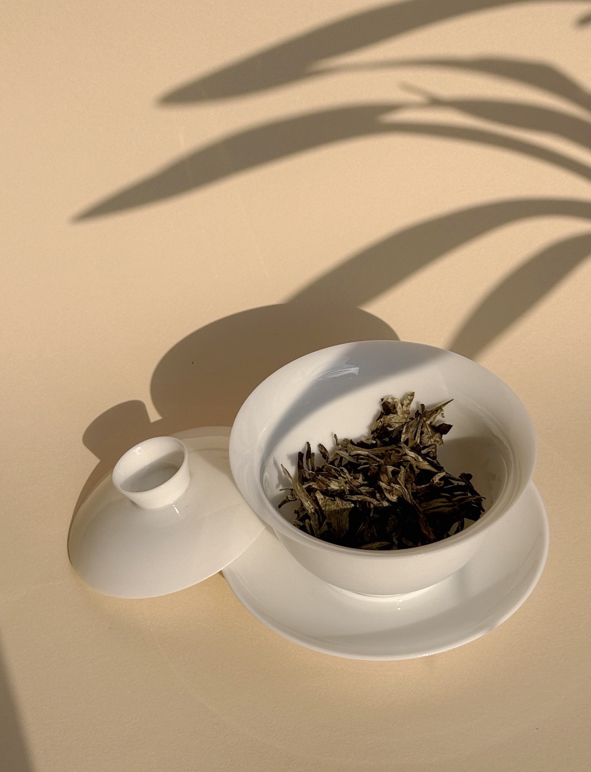 甄选优质月光白，芽叶鲜嫩，毫香满满 茶汤 配图1