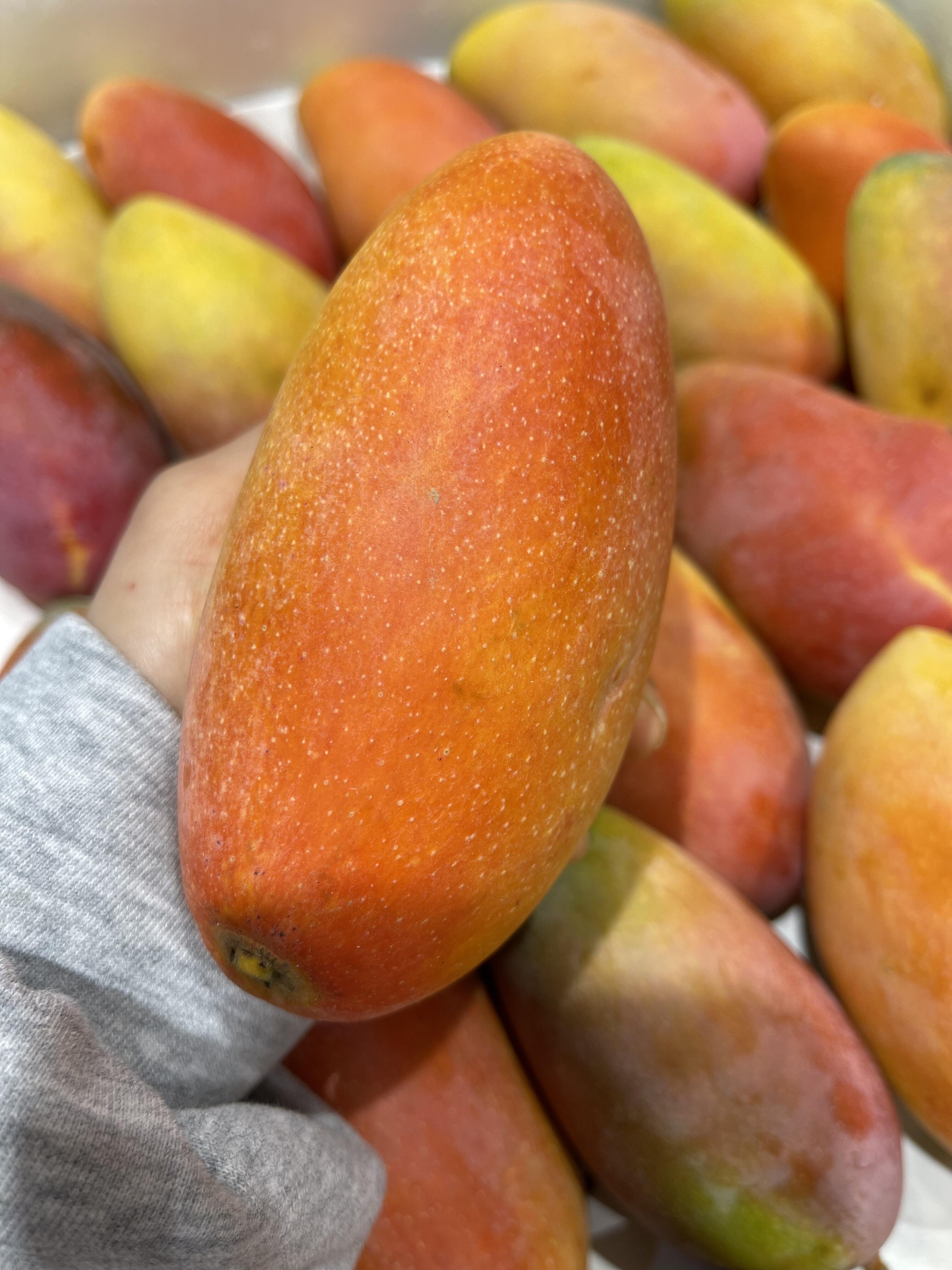 🥭 贵妃芒来啦！🥭 红黄相间像彩虹～颜值 配图1