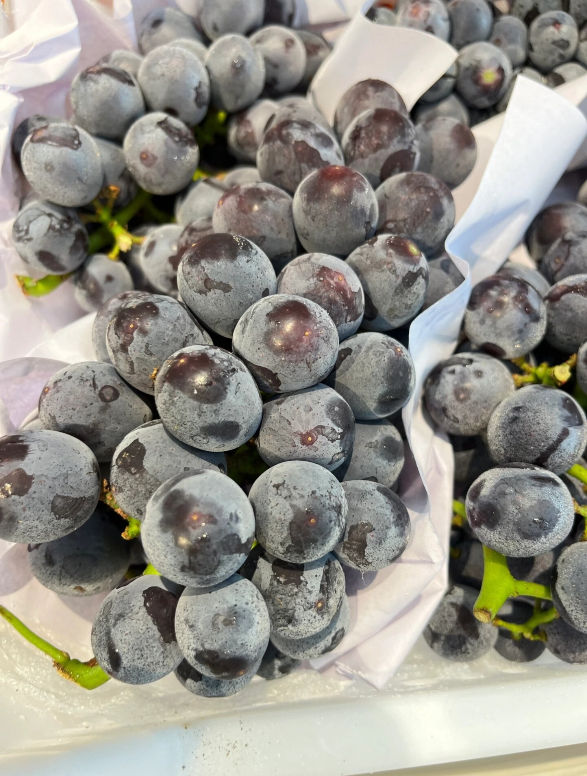 巨峰葡萄🍇 紫黑的果粒恰似一串玛瑙，点亮 配图2