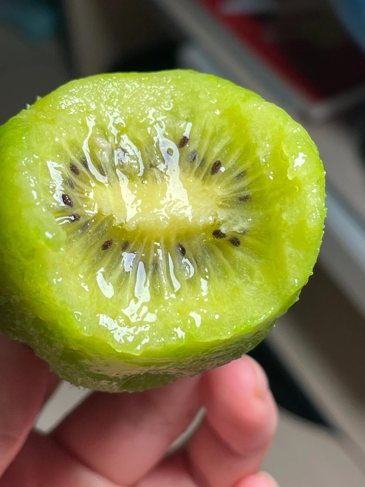 🥝 奇异果上市！🥝 毛茸茸外表藏着翠绿果 配图2