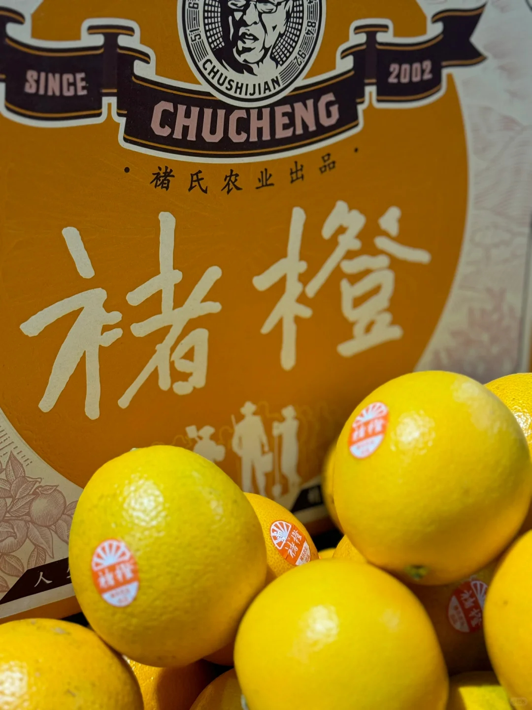 🍊人生总有起落 精神终可传承 🍊这是褚橙 配图2