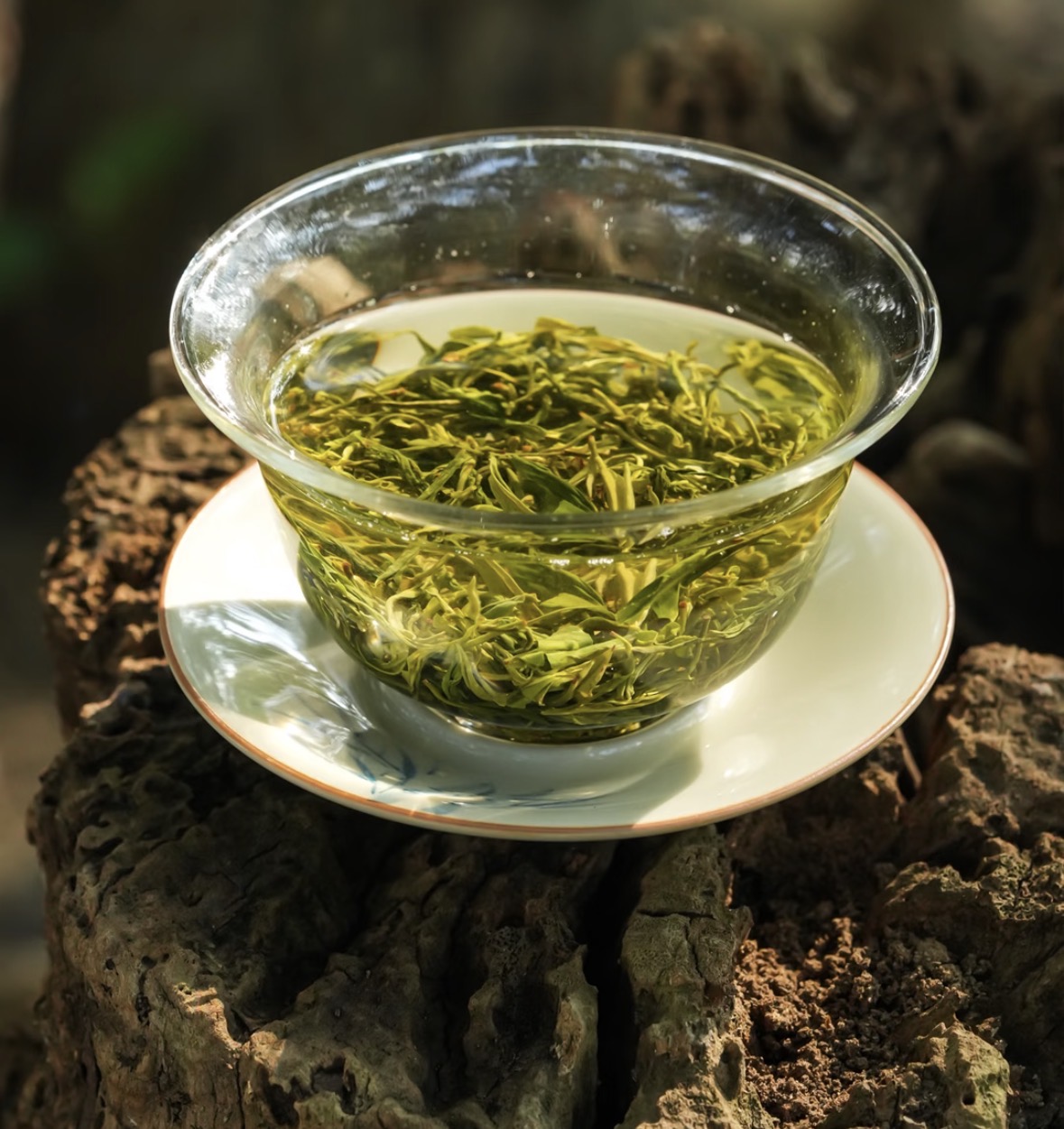 雪尽茶山青，春归毛尖香。以一杯清茗，敬新 配图3