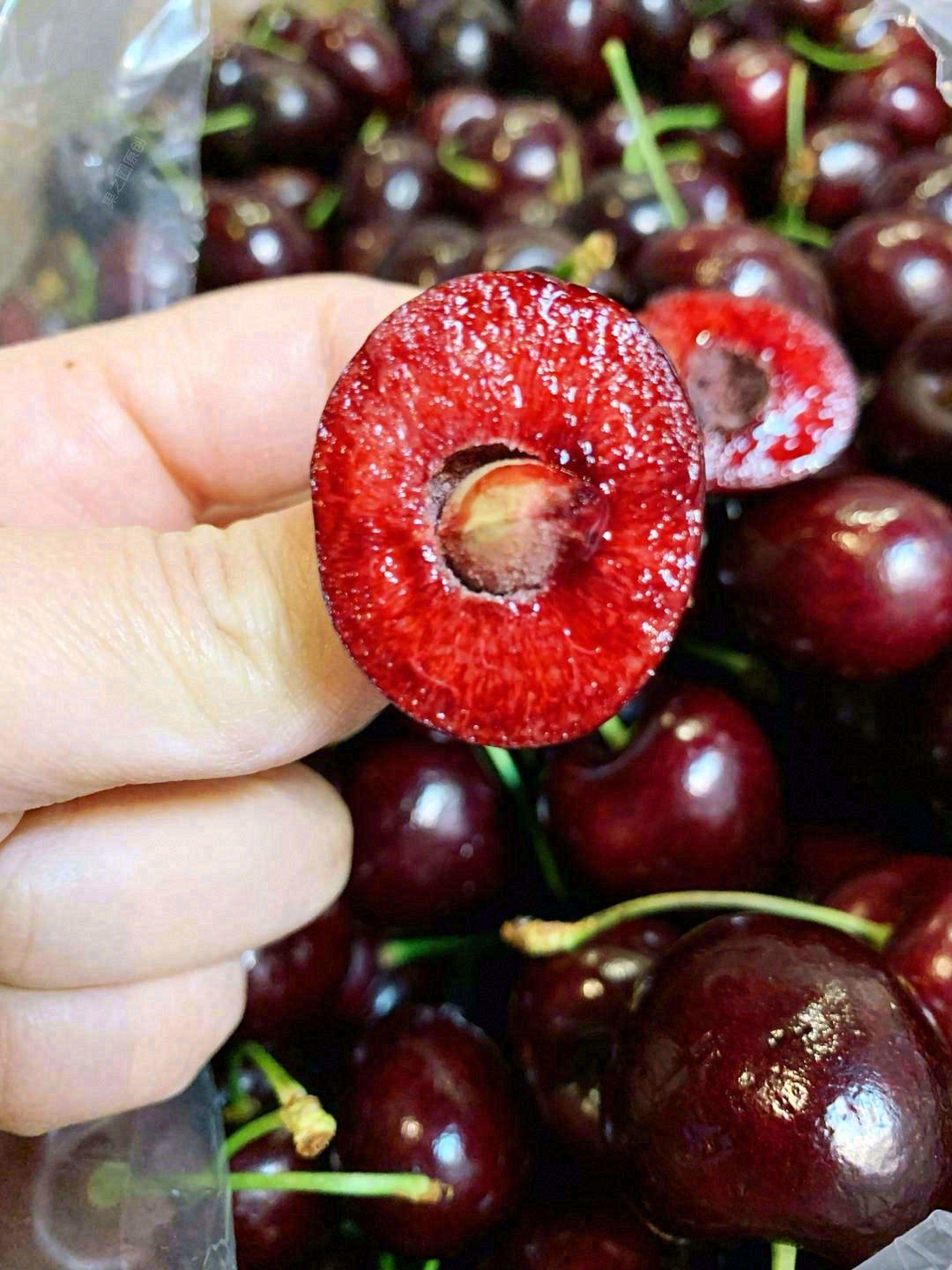 看果柄鲜嫩翠绿🌱 看果体红的发紫🌹 看外 配图2
