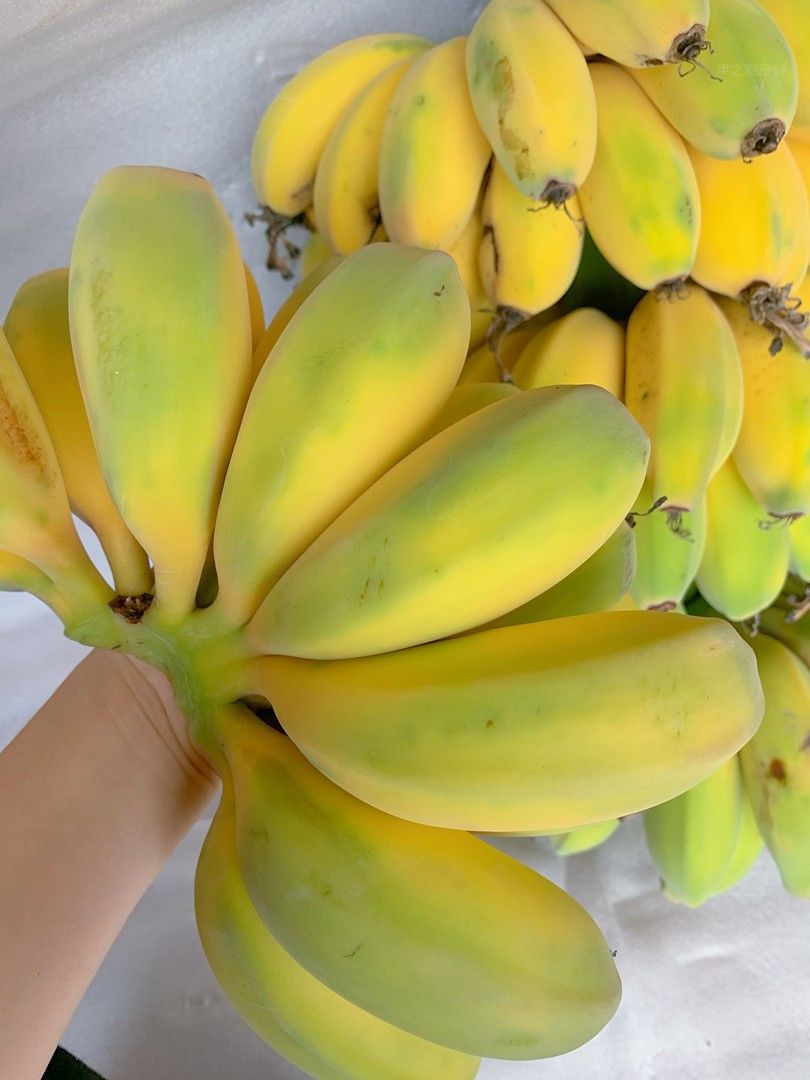 😎不用洗、不用切、一扒皮就能吃的香蕉🍌  配图2