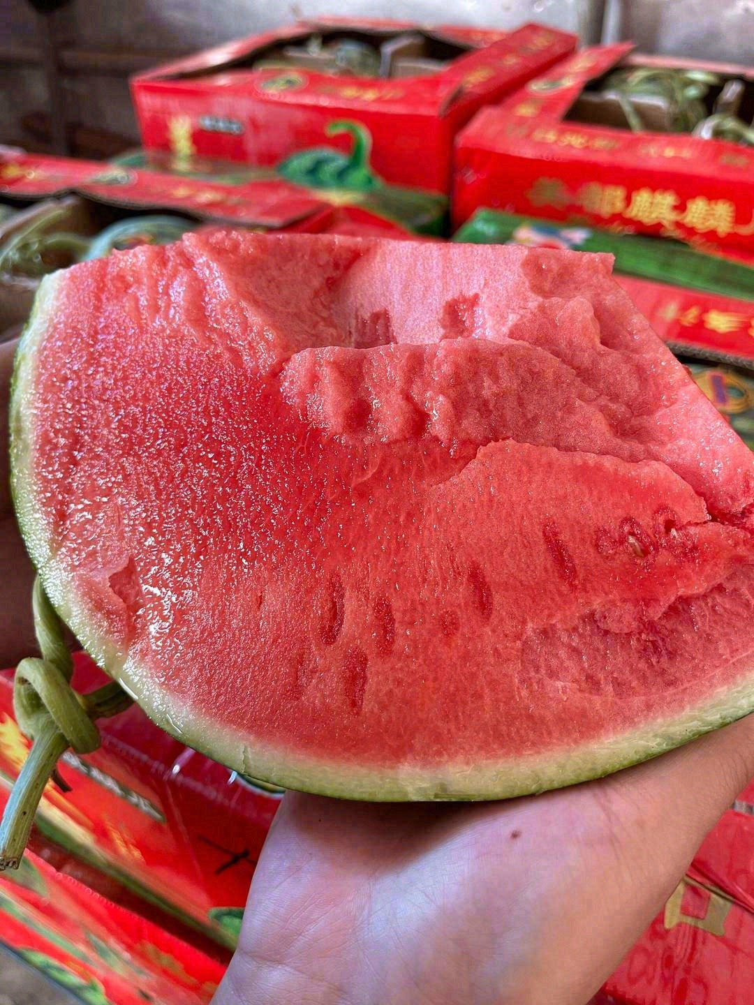 千金难买，好瓜难求😋 麒麟瓜🍉，知你品味 配图3
