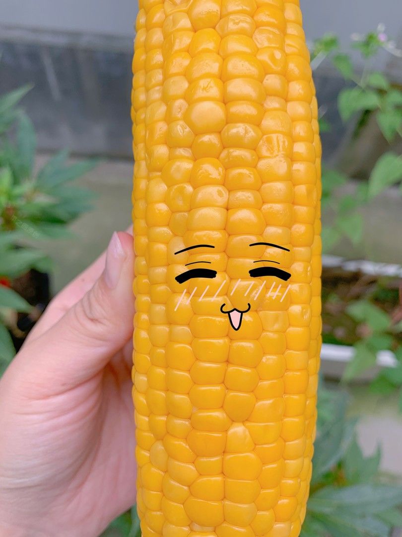 🌽以颗粒饱满，果实皮薄爽脆而闻名的甜玉米 配图2