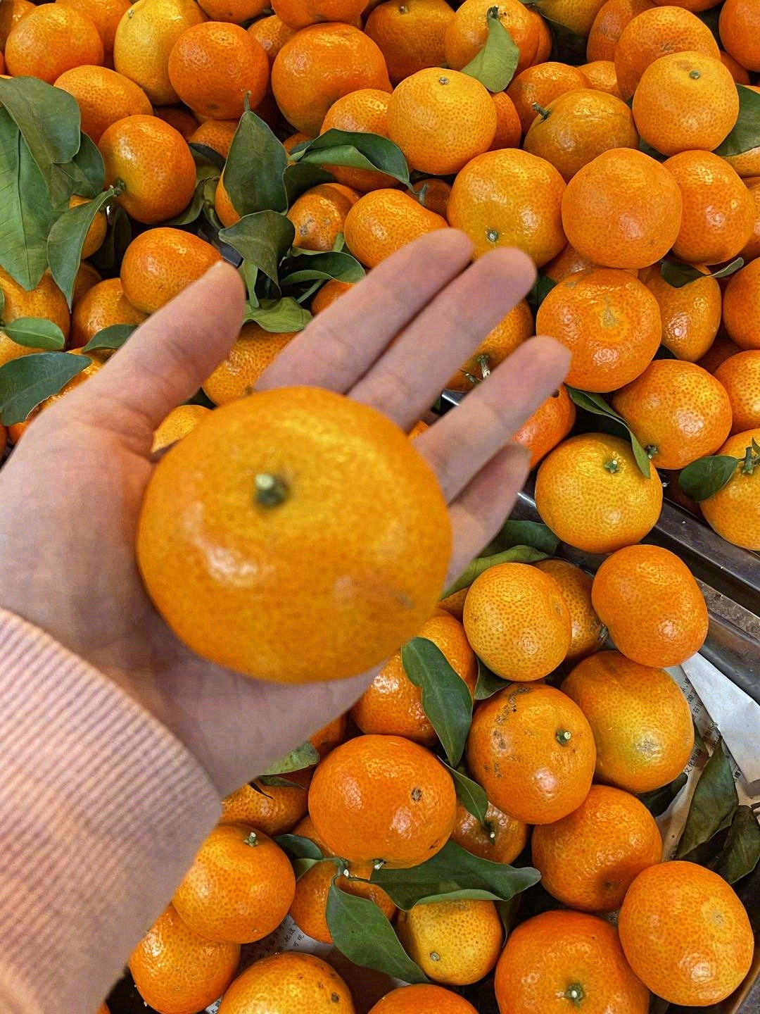 橘中之王👑，深冬砂糖🍊 香气浓郁🌈，甜而 配图2