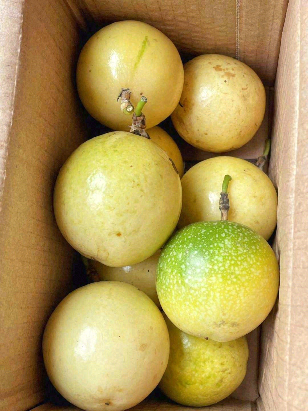 😍好吃有营养，美味无负担 黄金百香果，是 配图3