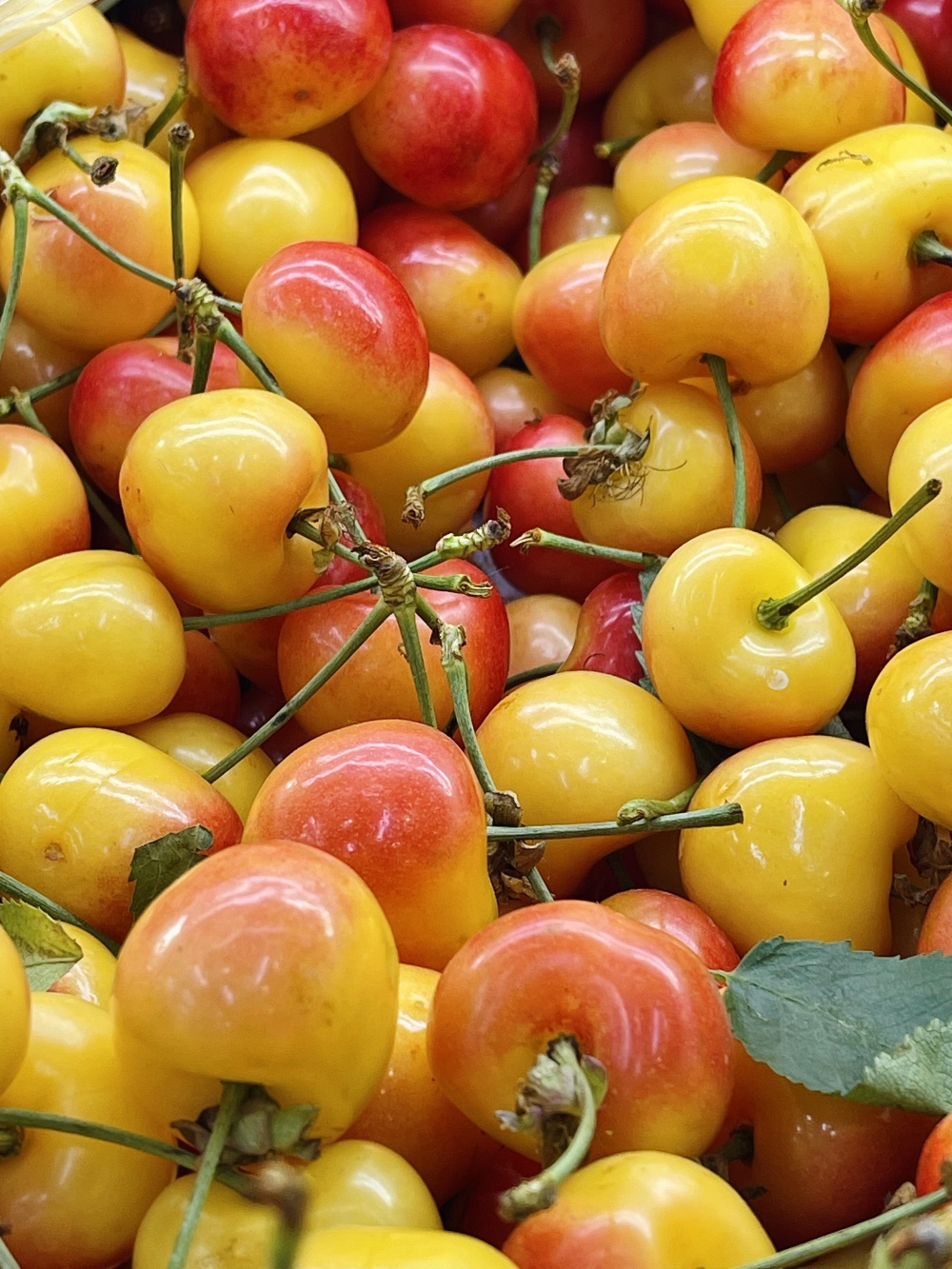 甜蜜暴击款 🍒💛 "黄樱桃季到啦！✨ 一 配图3