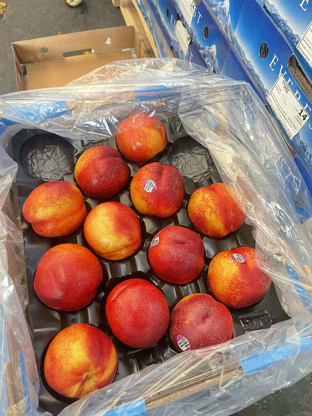 澳洲油桃，一口便能吃到南半球的桃香🍑 水 配图3