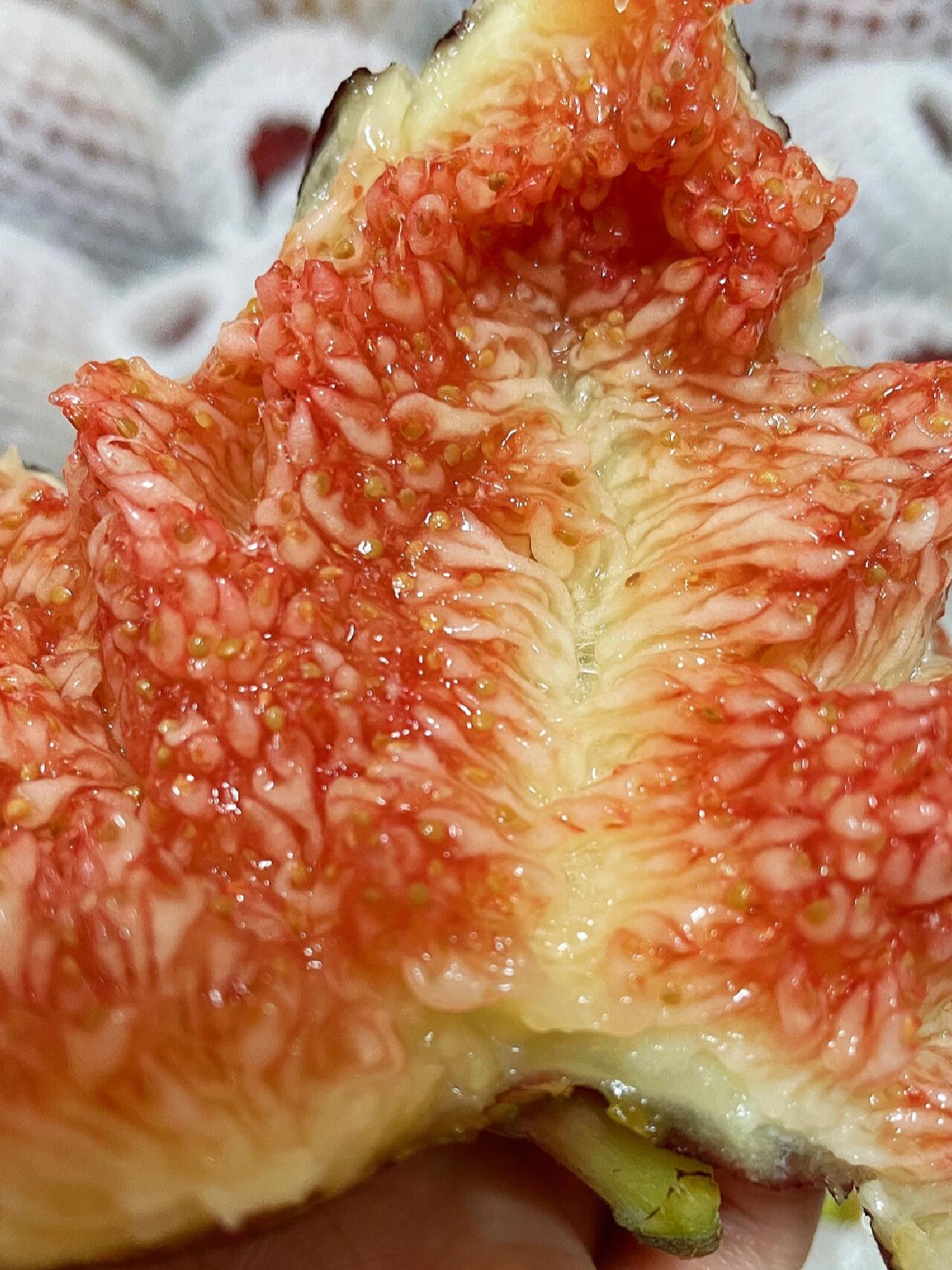 【无花果】来咯～ 抗癌神奇‼️软糯清甜💋 配图2
