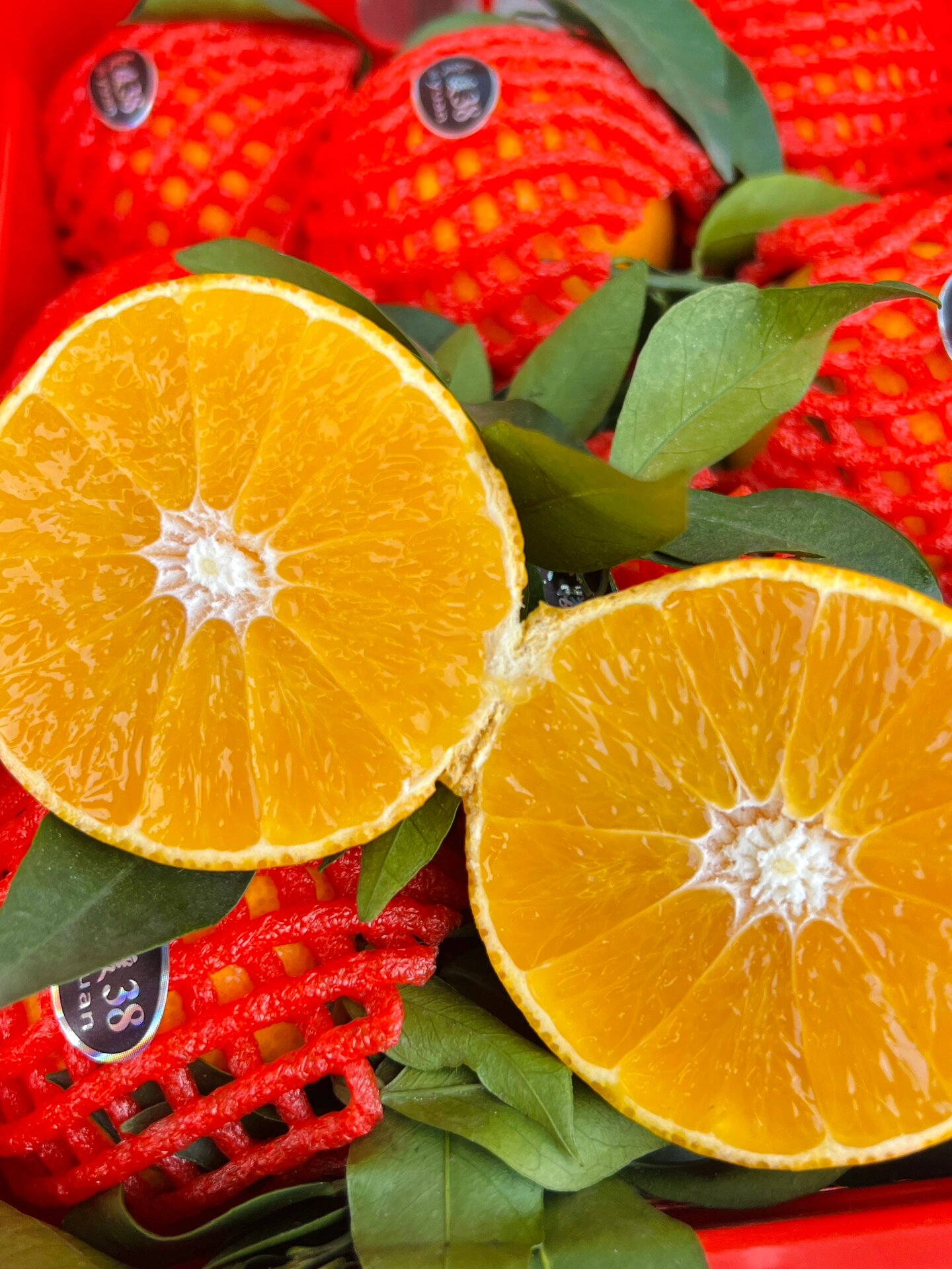 ☘️爱媛橙🍊 现在的爱媛外皮和果肉颜色🍁 配图2
