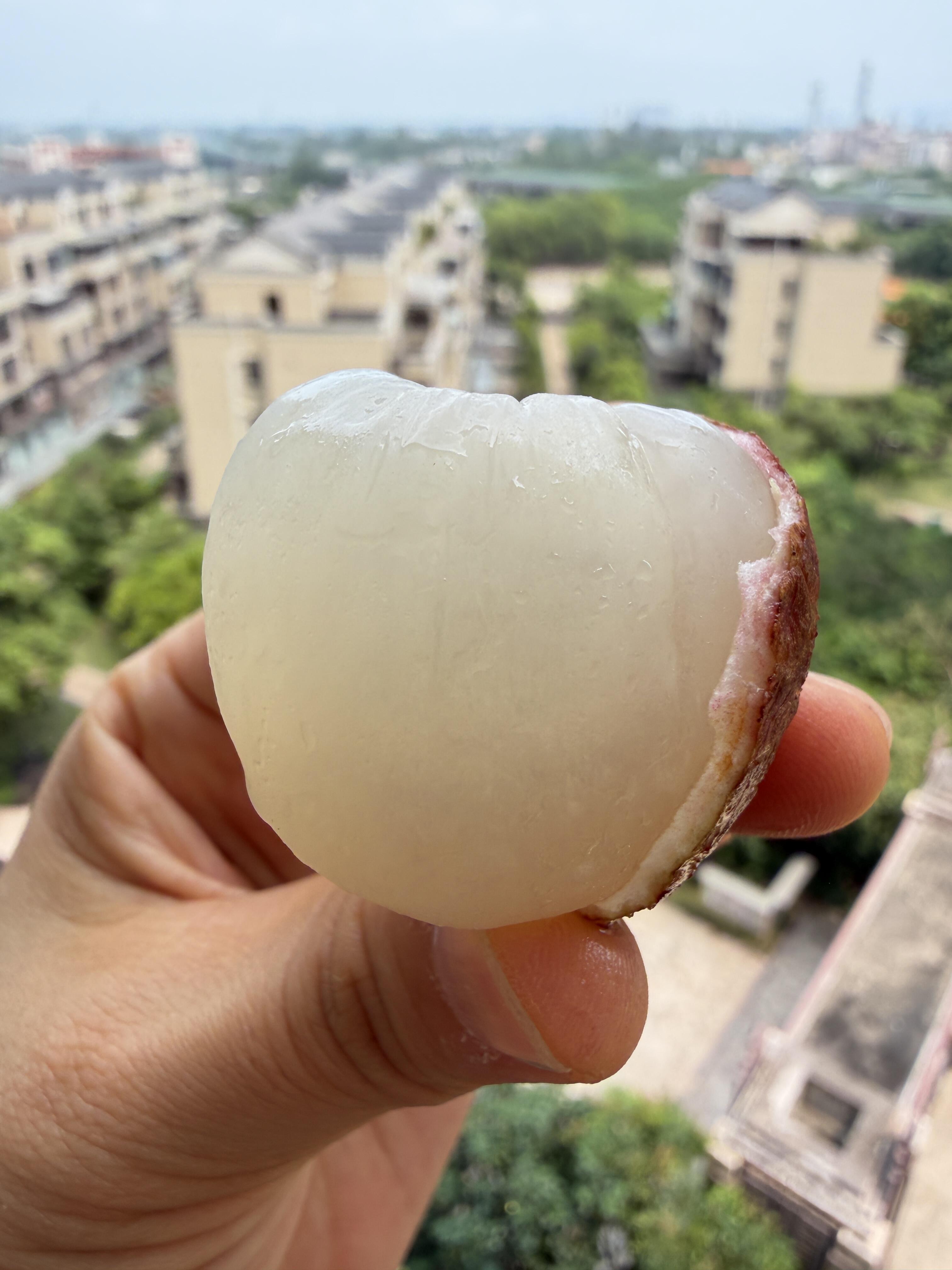 🍒荔枝开始有了‼️ 这一波是早熟的先头部 配图2