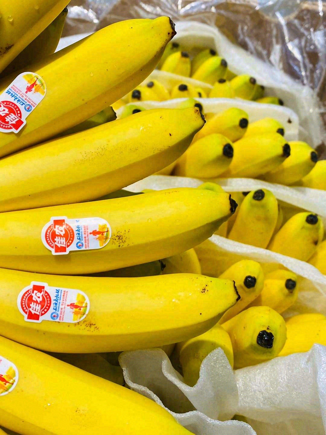 今日份的小可爱——Baby皇帝蕉🍌 一口 配图1