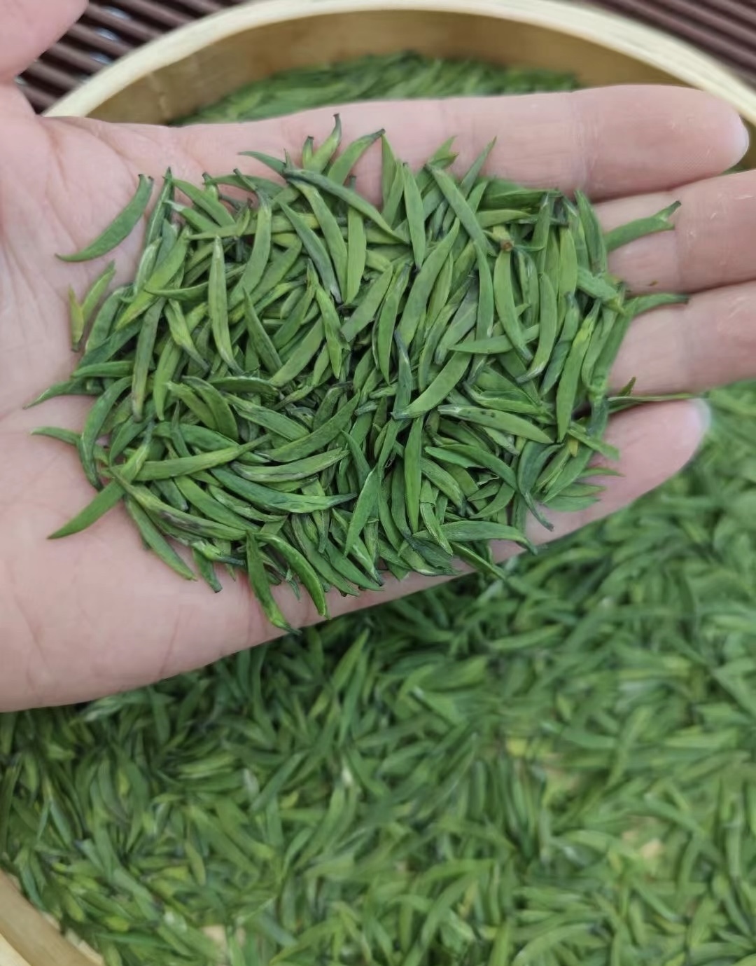 竹叶青茶是中国名茶之一，属于绿茶类。其外 配图2