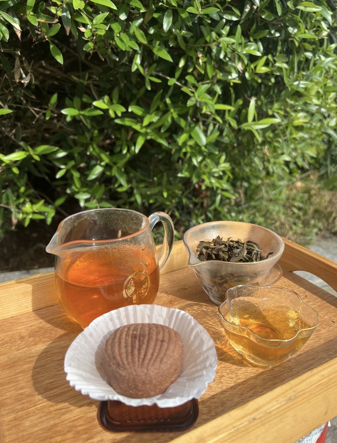 马蹄踏春归，单丛迎福来。愿新岁平安喜乐， 配图1