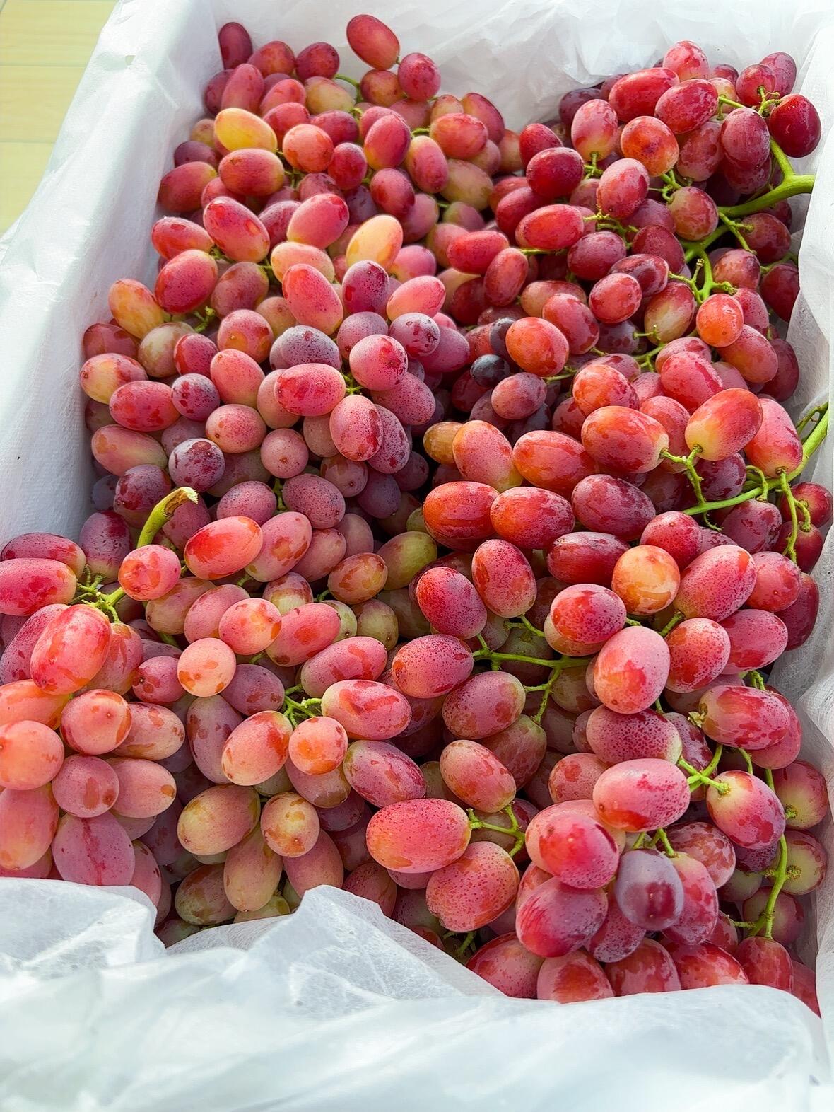 脆甜无籽提🍇 克伦生无籽红提🍇巨新鲜🍃， 配图2