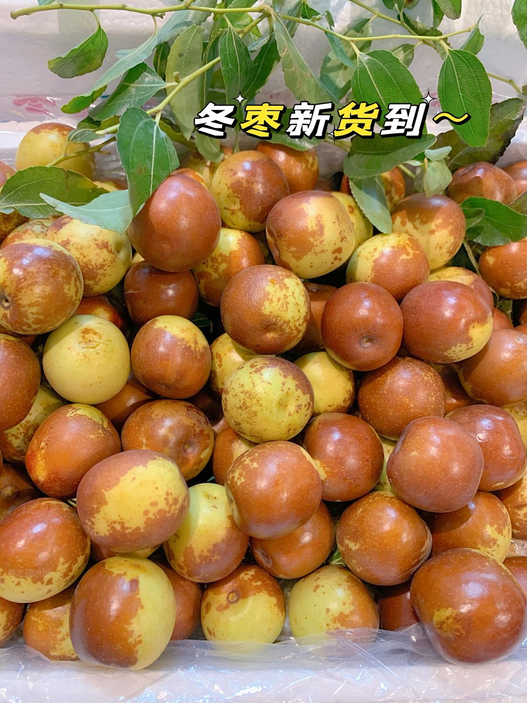 冬枣的快乐在于入口嘎嘣爽脆💥 在畅快的咀 配图2