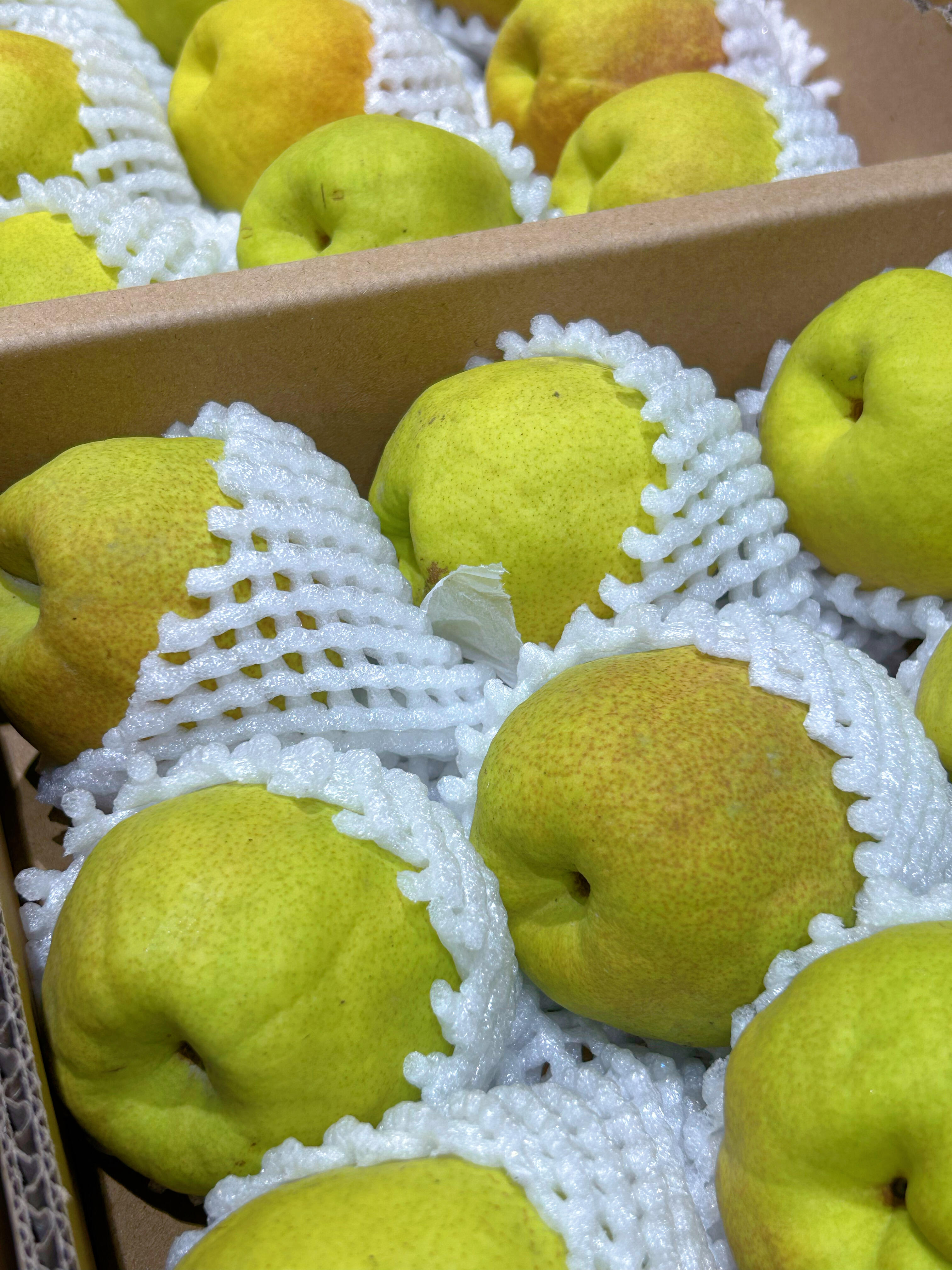 ❤️润肺必吃｜新疆库尔勒香梨🍐 一不注意 配图1