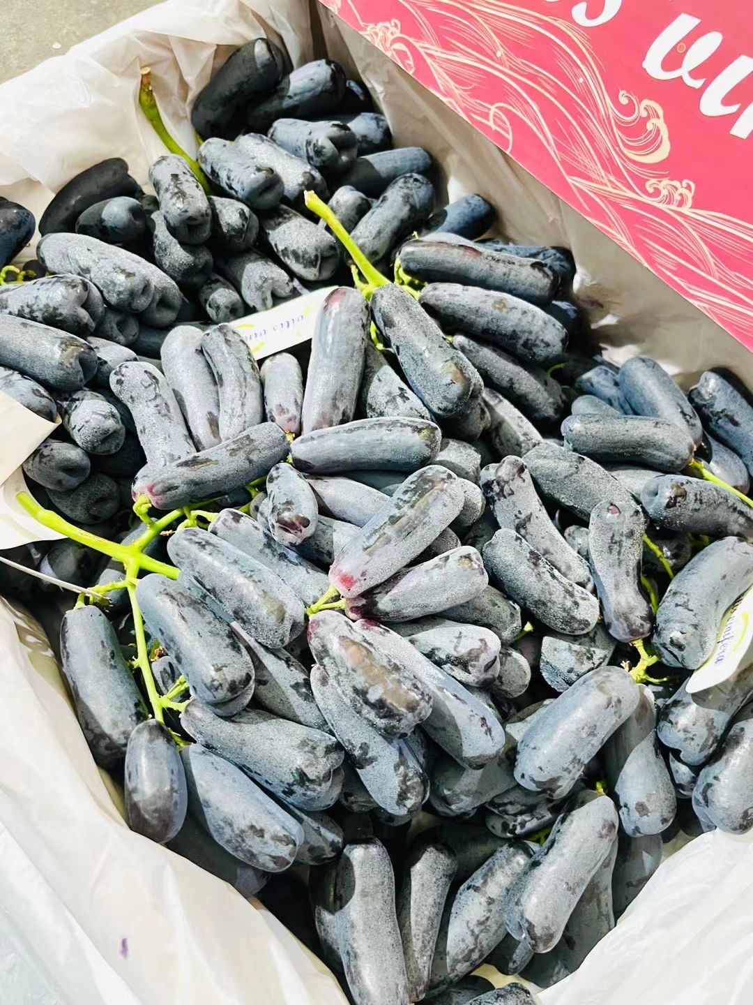 蓝宝石金手指黑提 稀有品种✅ 品种Swe 配图3