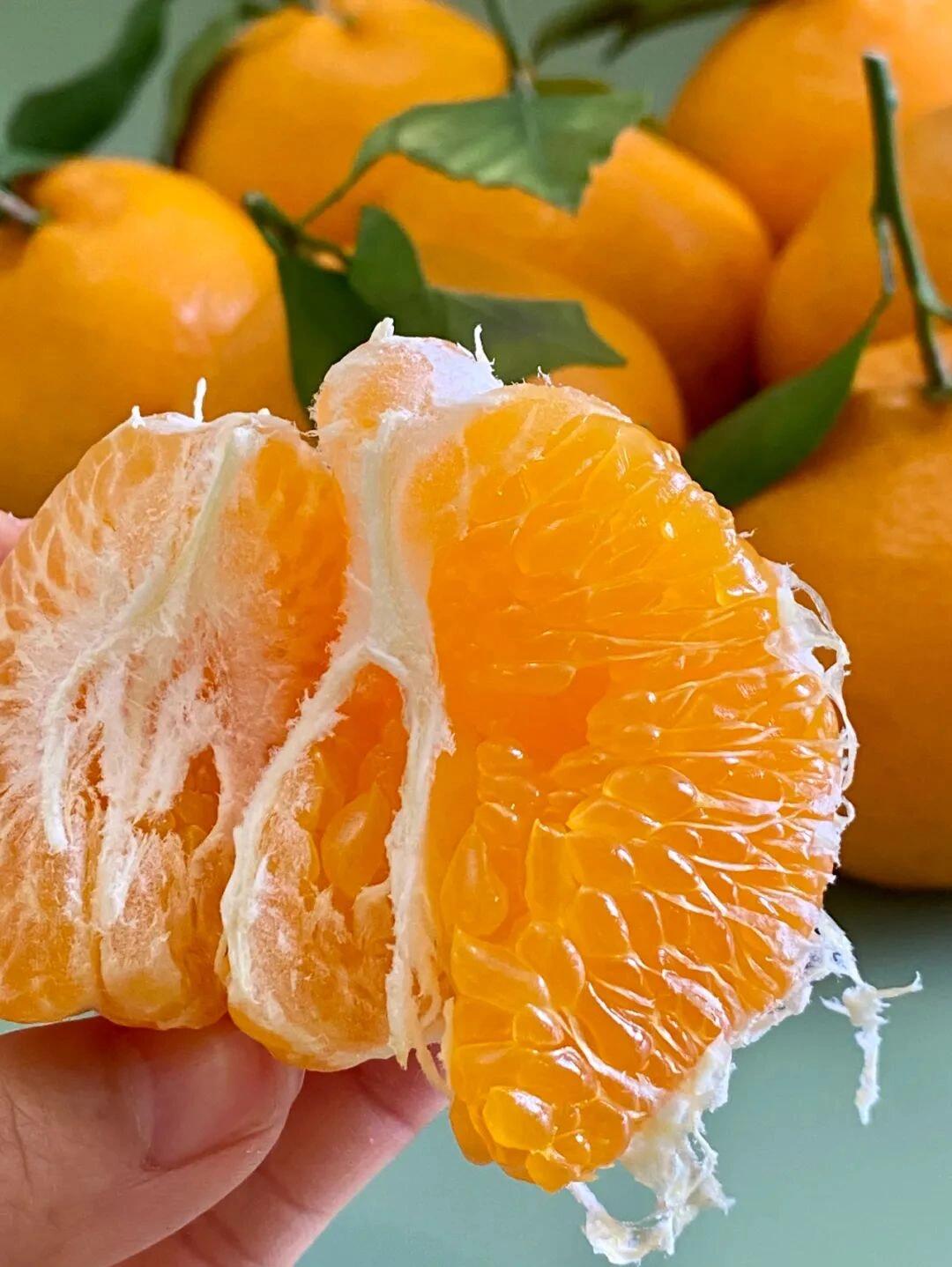 🍊春见耙耙柑 不管你的城市吹风下雪， 我 配图2