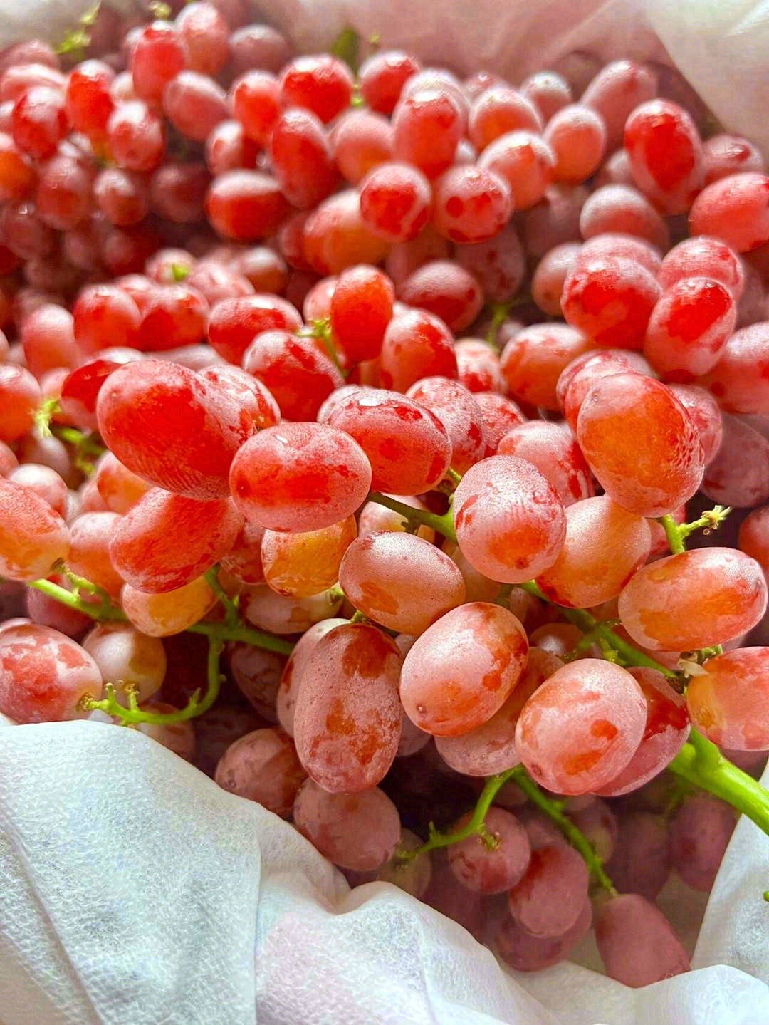 有点过分优秀的无籽红提🍇 想自己全部霸占 配图3