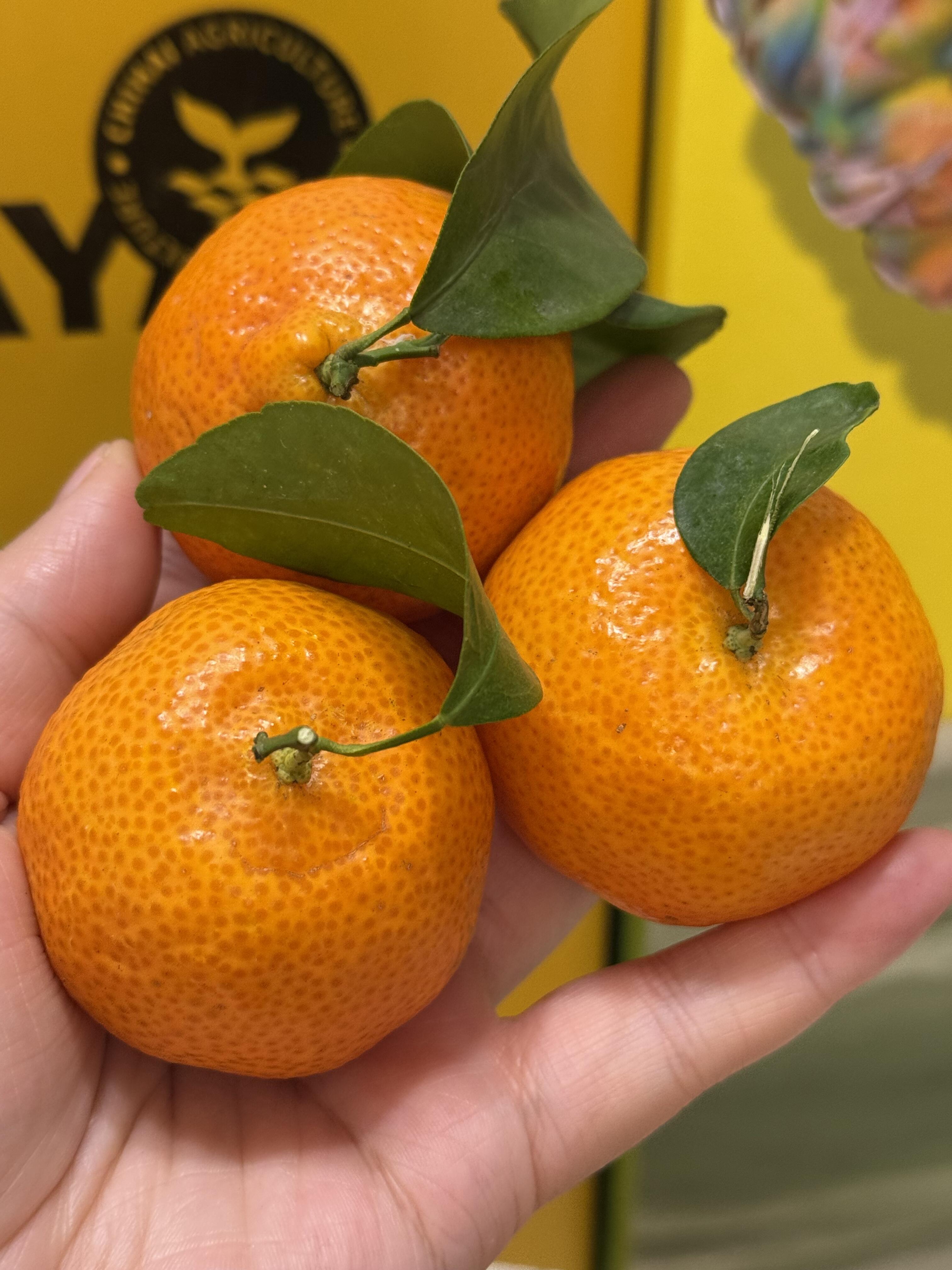 🍊砂糖橘新鲜到货👏 口感真的没话说，吃过 配图1