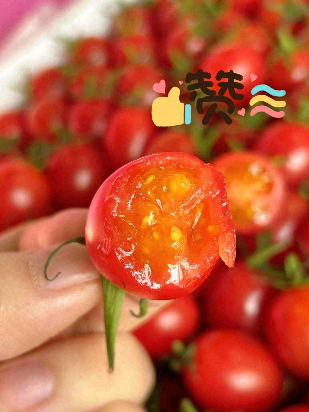 这个秋天，没你不行！ 🍅玲珑小番茄，❤番 配图3