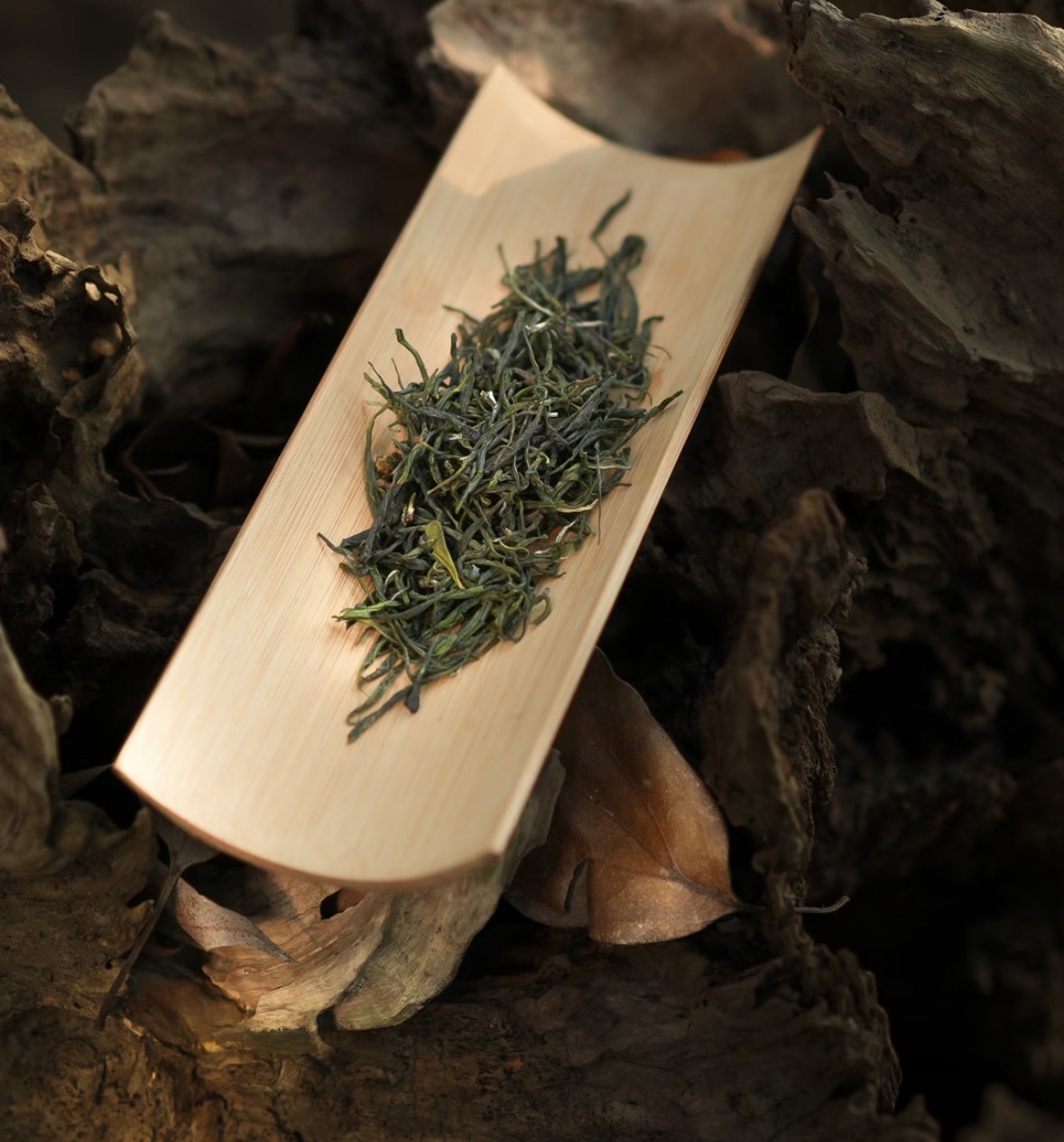 雪尽茶山青，春归毛尖香。以一杯清茗，敬新 配图1