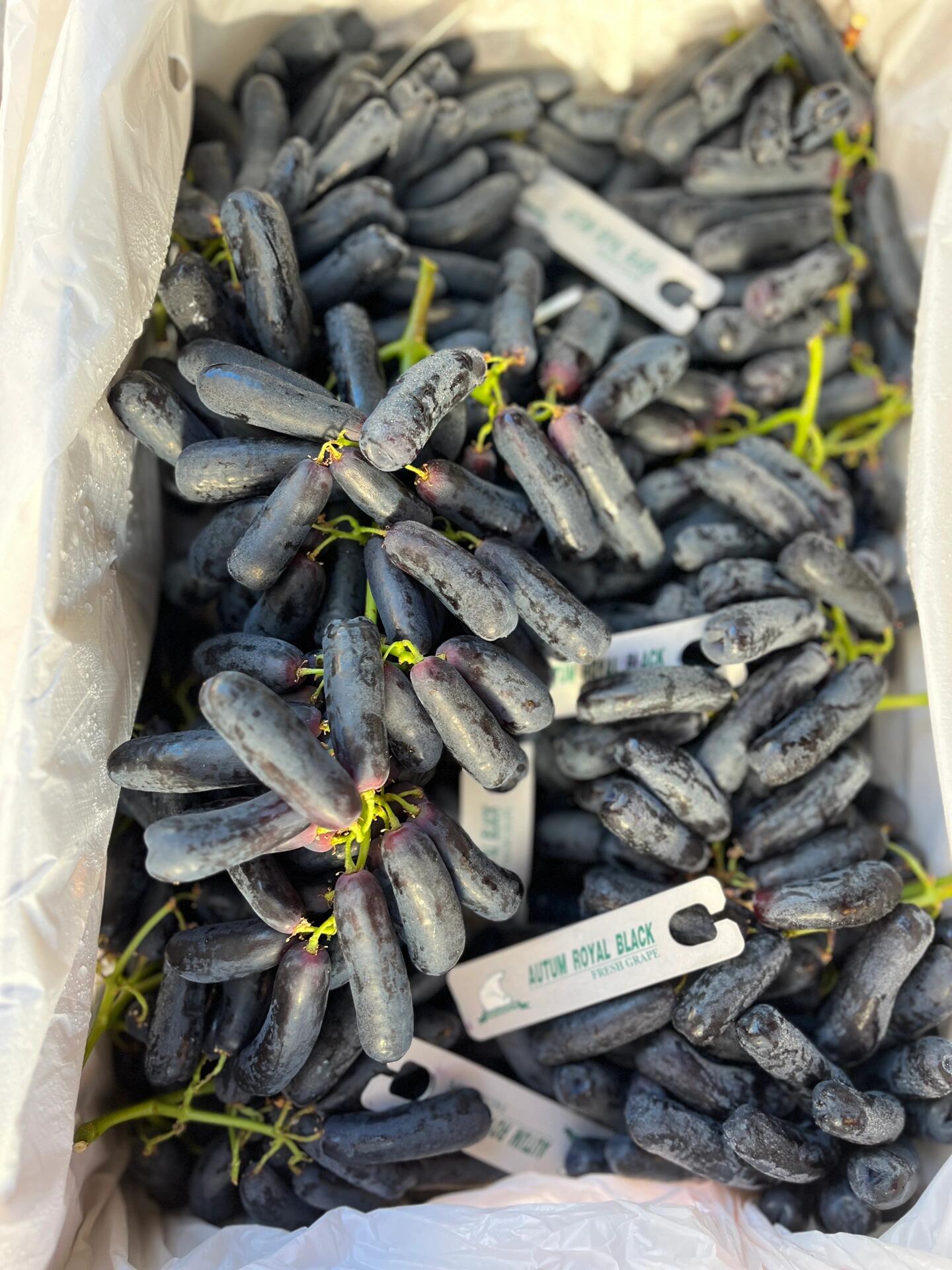 💅美人指蓝宝石🍇 香甜清爽，皮薄如丝，摘 配图3