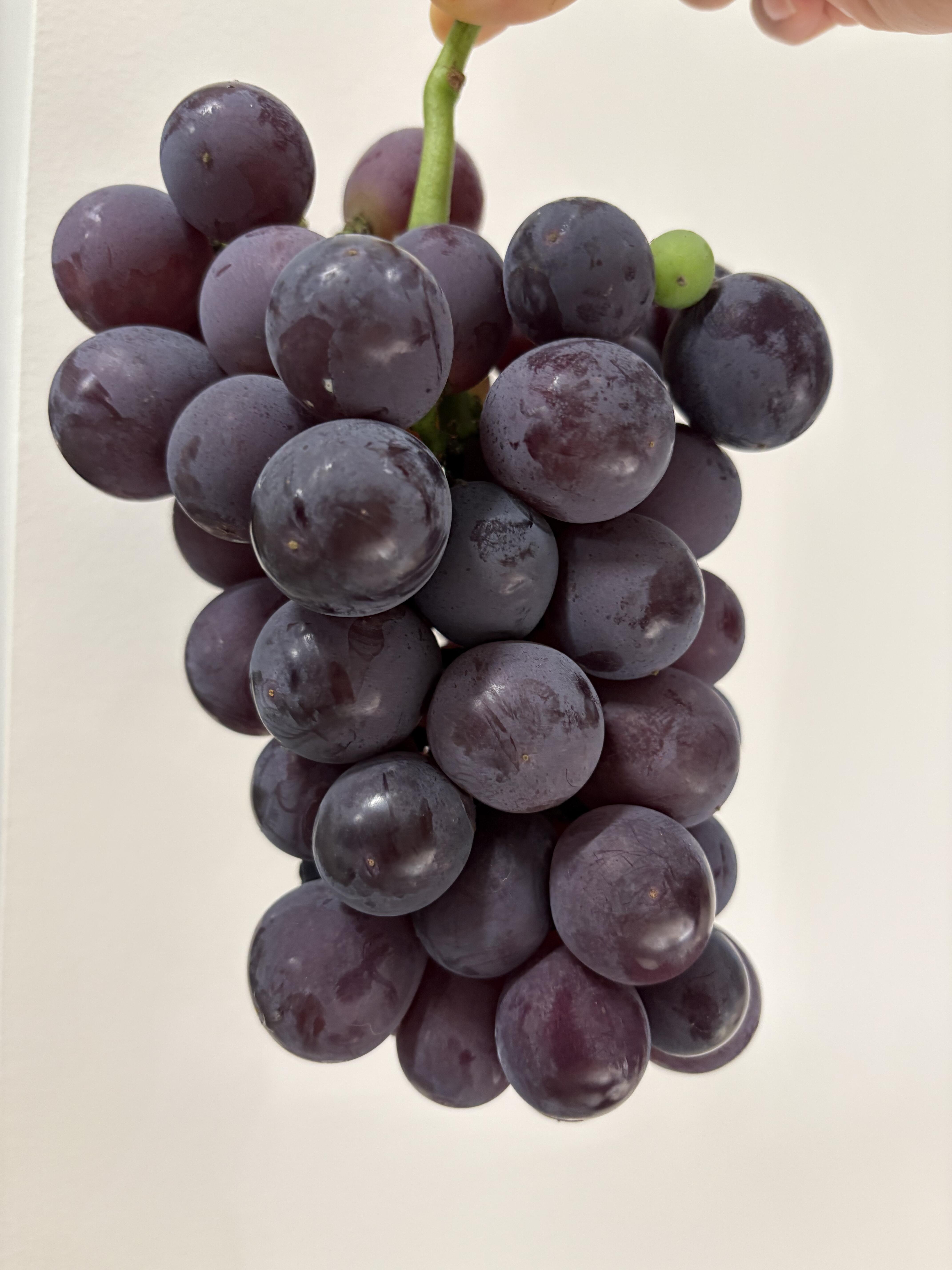 🍇 巨峰葡萄！ 果粒挺大 🍇 看着就有食 配图3