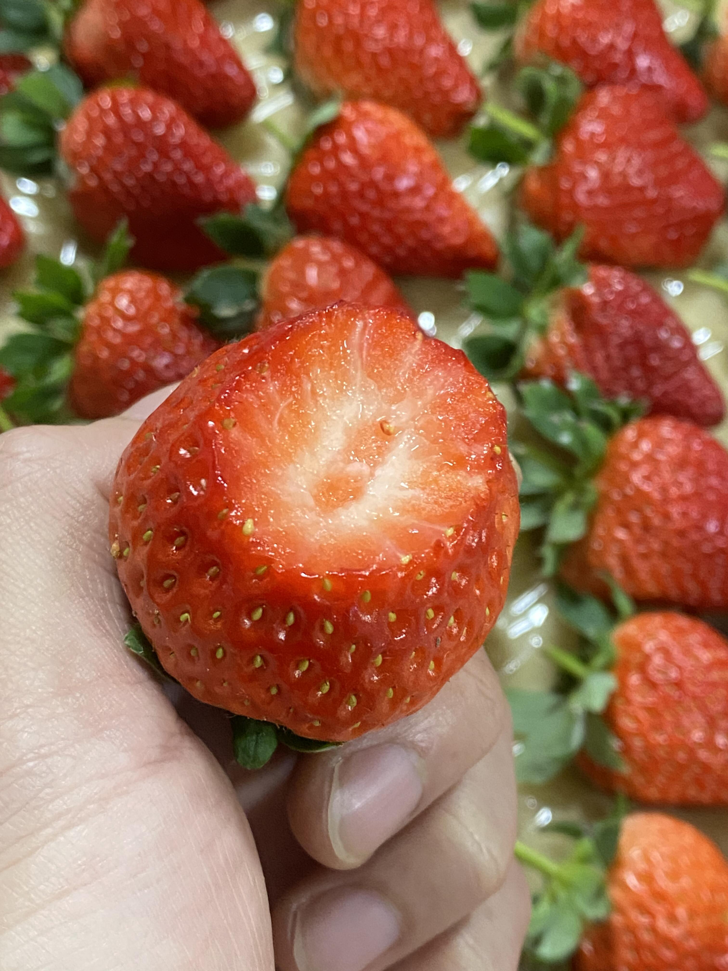 🍓红彤彤的丹东草莓✨ 甜丝丝的香味，凑近 配图1