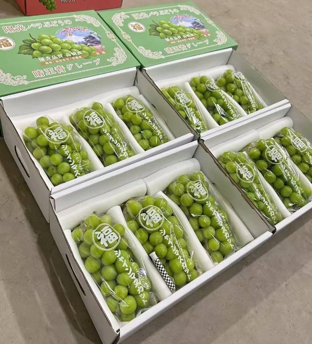 福牌阳光香印青提🍇 优秀的品质，高糖度无 配图3
