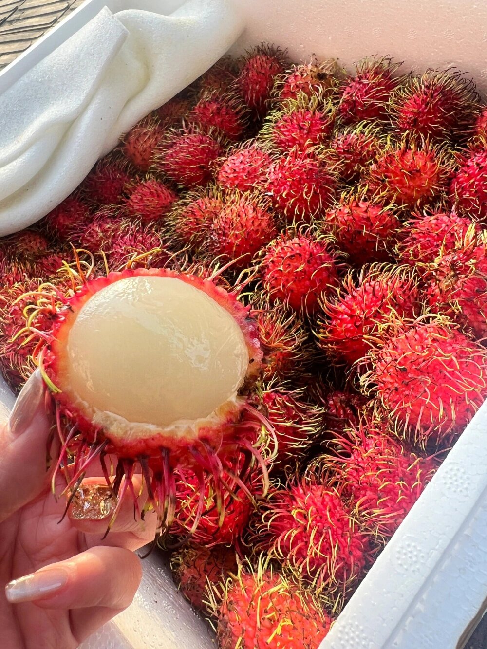 🌱🌱春天你好😘愿一切美好，都如约而至～  配图1