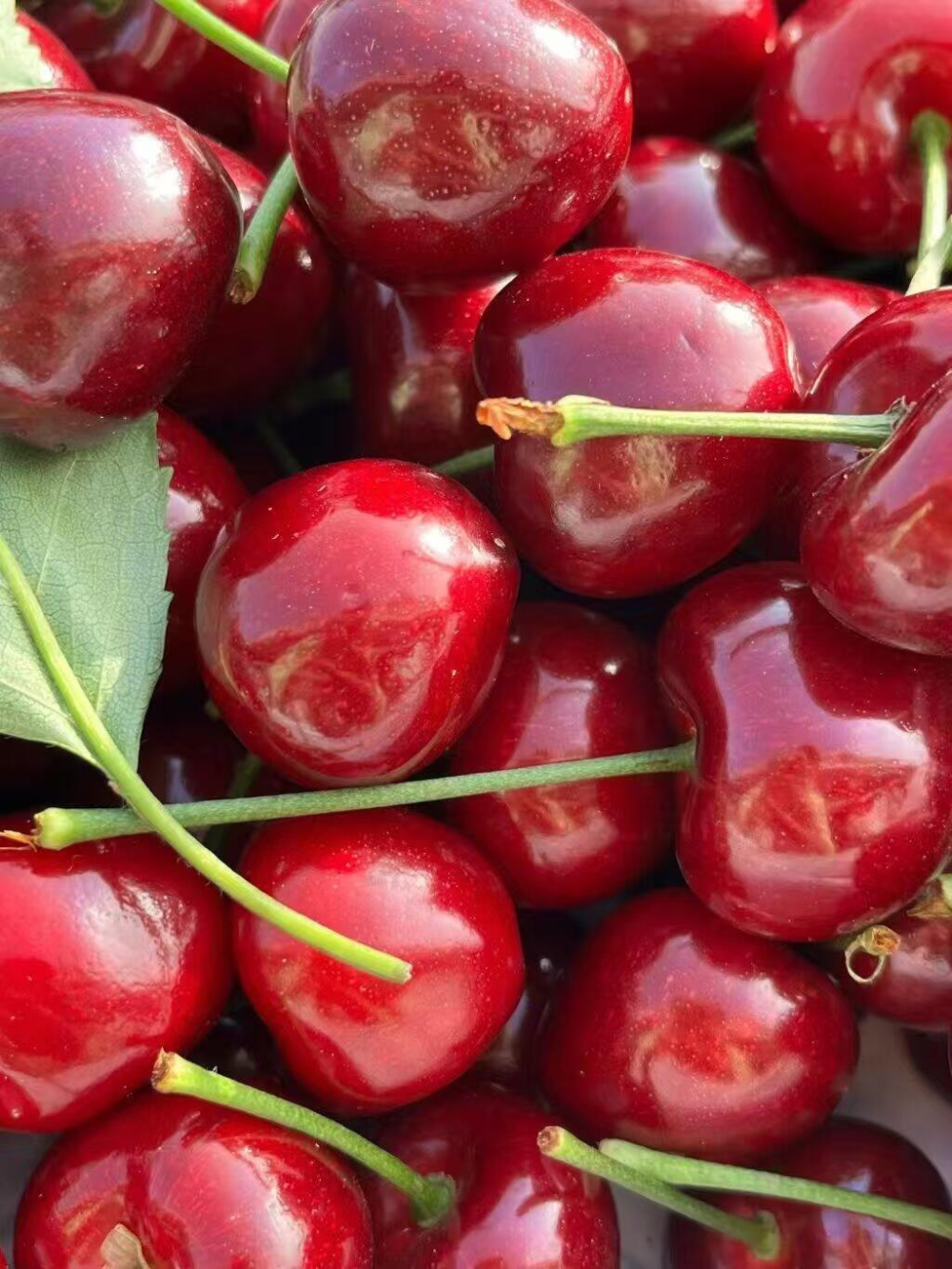 🍒 美早樱桃甜蜜上线！ 果粒硕大，汁水充 配图1