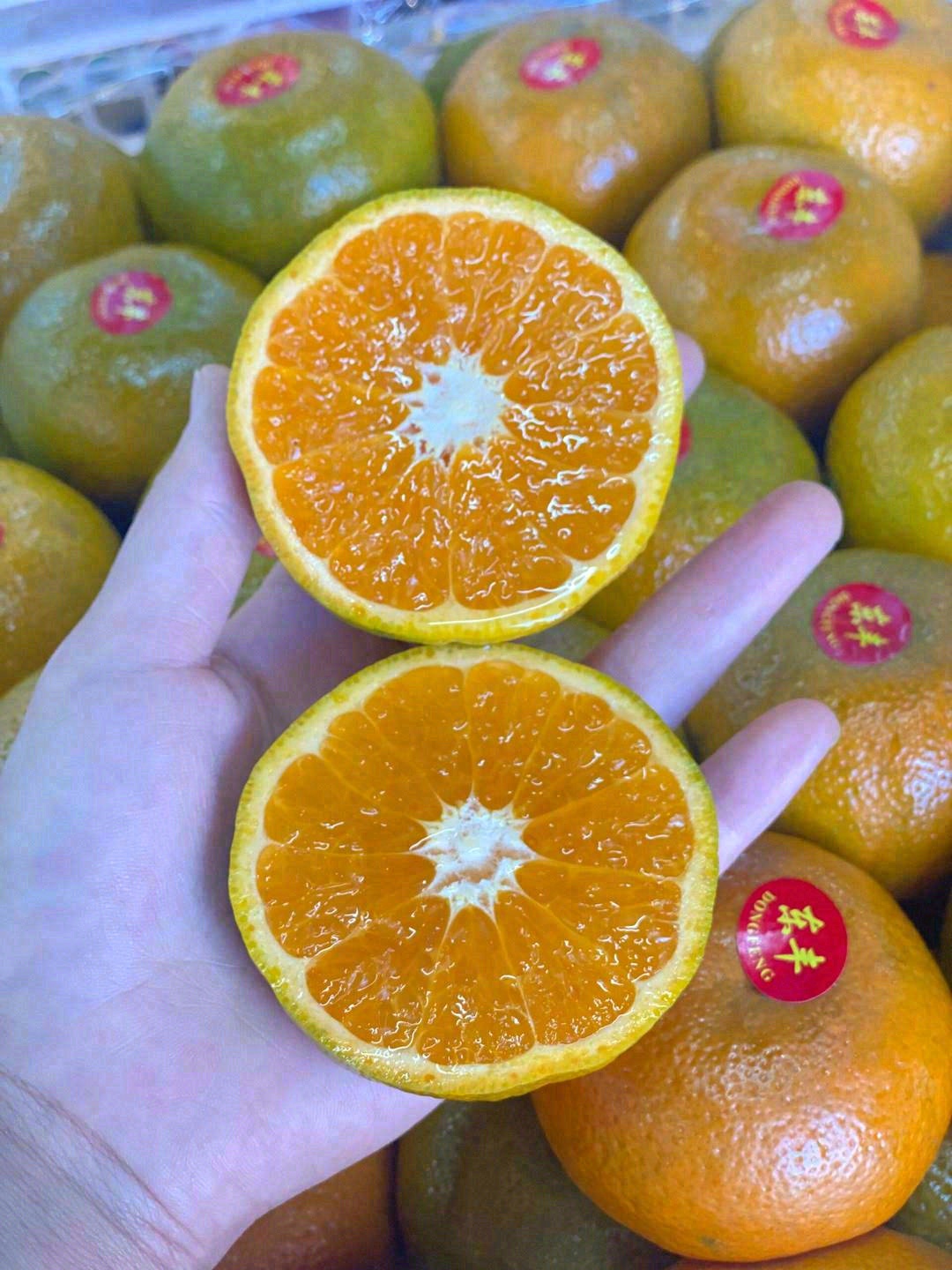 云南蜜橘||🍃一款小清新的果子 爆汁的橘 配图1