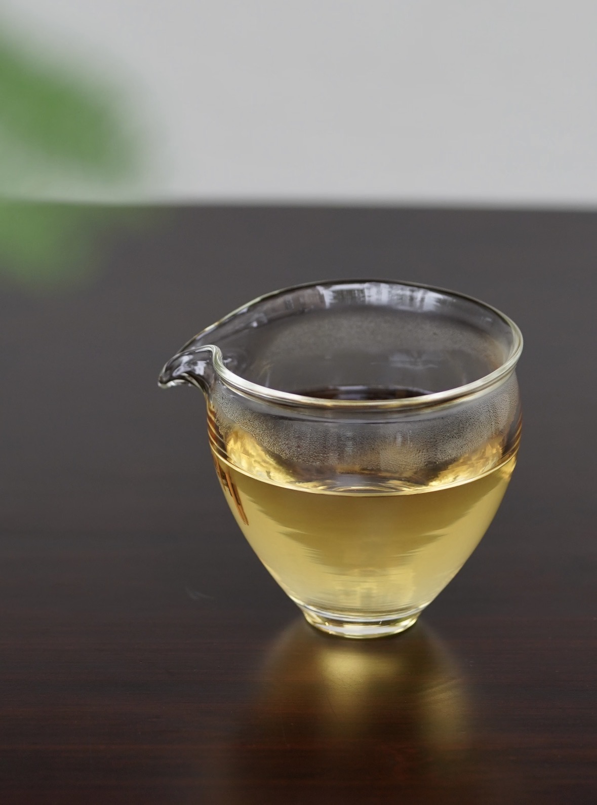春启新章，好茶甄选🍃 荒野大树寿眉，生长 配图3