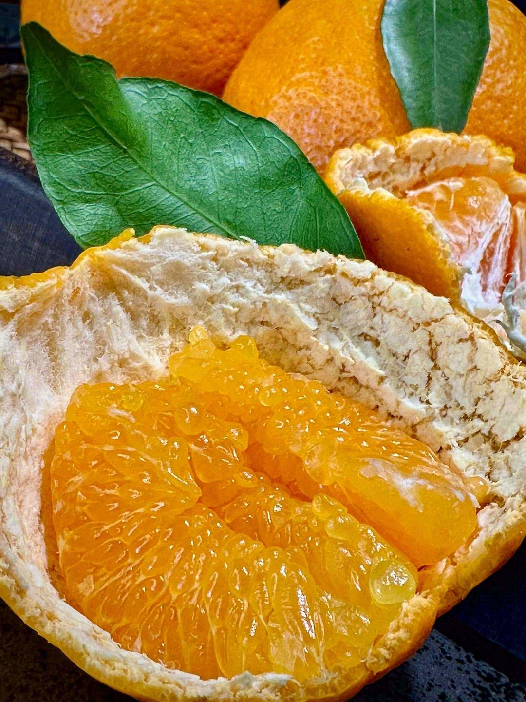🙋人生不仅有初见，还有春见🍊 满满“柑” 配图1