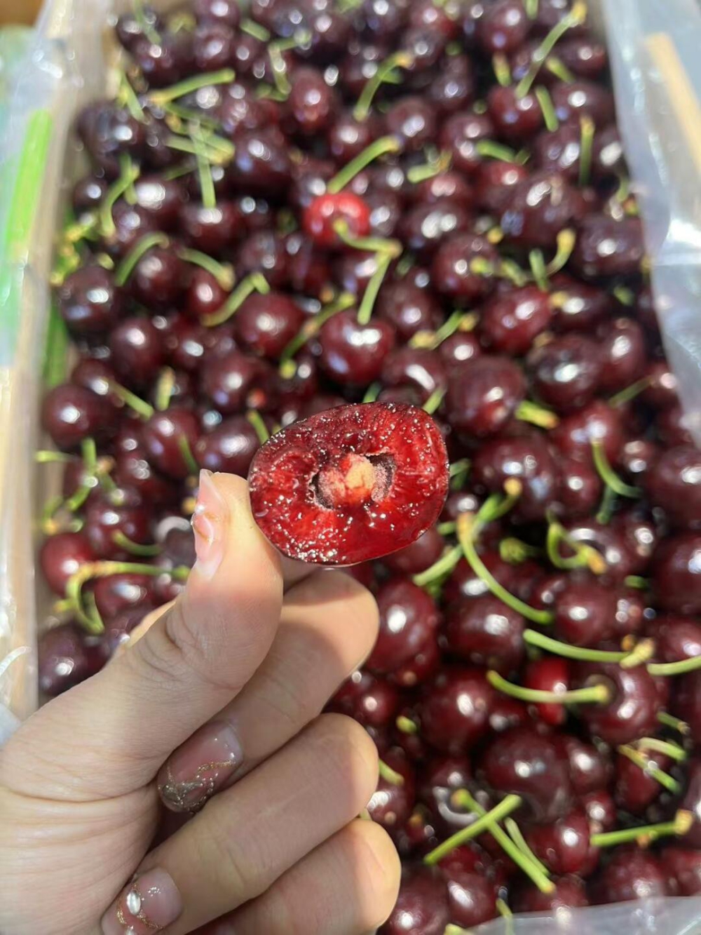 🍃 车厘子桑缇娜🍒一款全家人都喜爱的水果 配图2