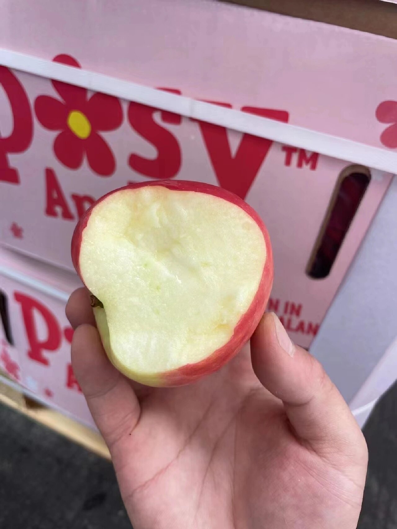 新西兰🇳🇿有机🍃POSY小花🌸苹果🍎 新 配图1