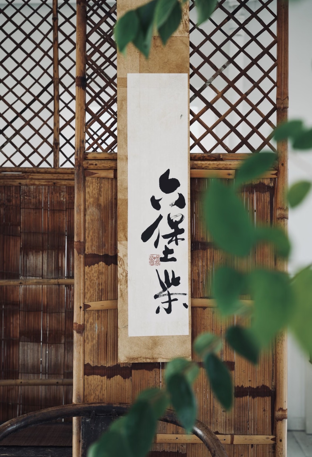 ✨乍暖还寒三月天，最念六堡暖茶汤。醇和顺 配图1