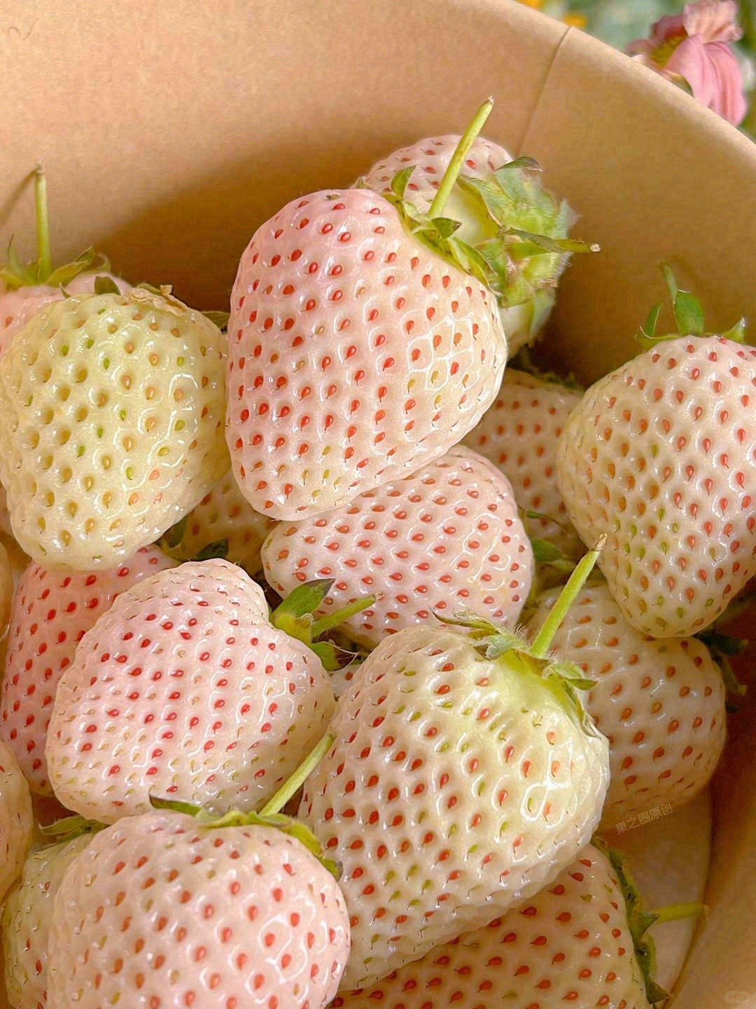 🍓白雪公主草莓软糯梦幻 果皮微透粉红，香 配图2