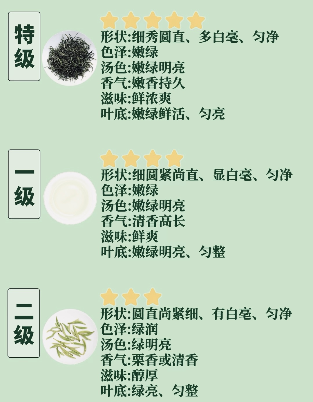 淮南茶，信阳第一 当你亲自手受到信阳毛尖的温度 当你亲口喝上 配图4