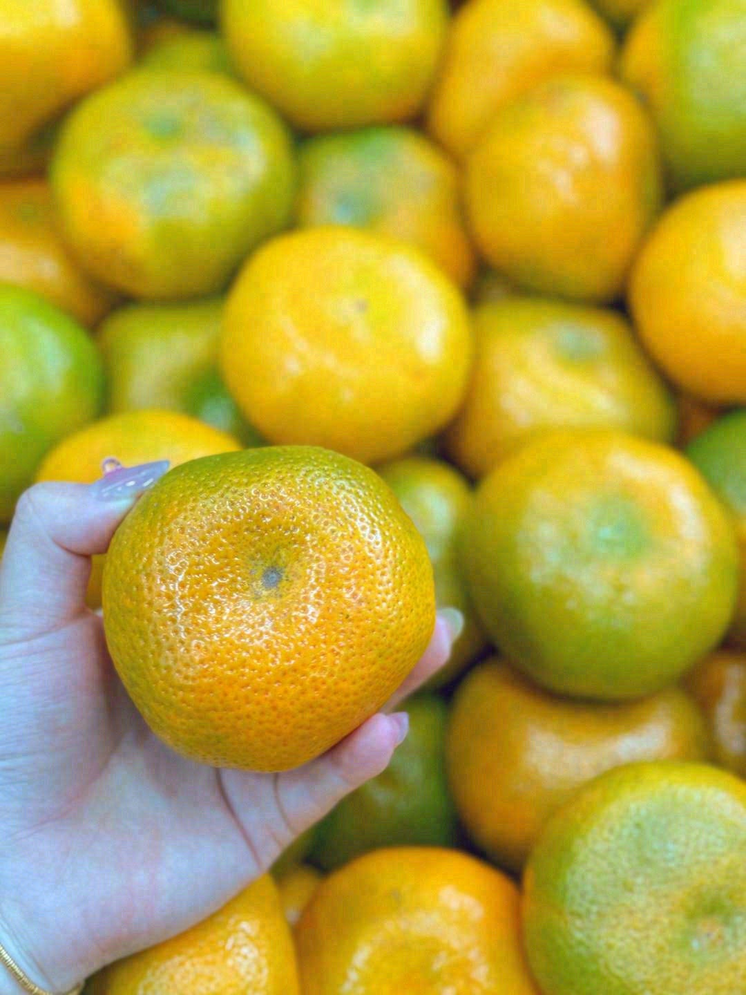 🙊第一口橘香，来自云南的早熟蜜橘🍊 酸酸 配图2