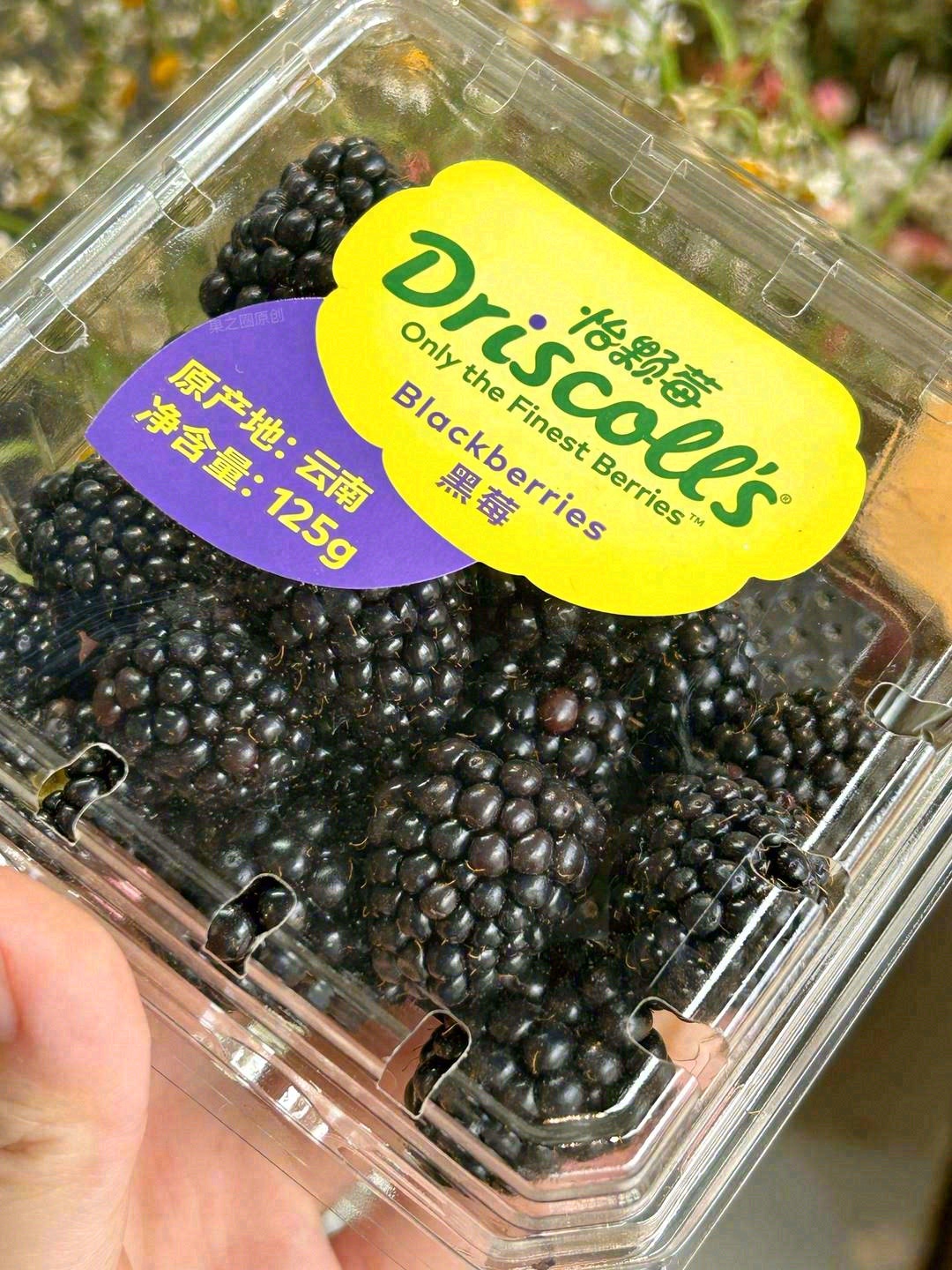 黑树莓到货🚄！ 来这里遇见最“莓”好的浆 配图1